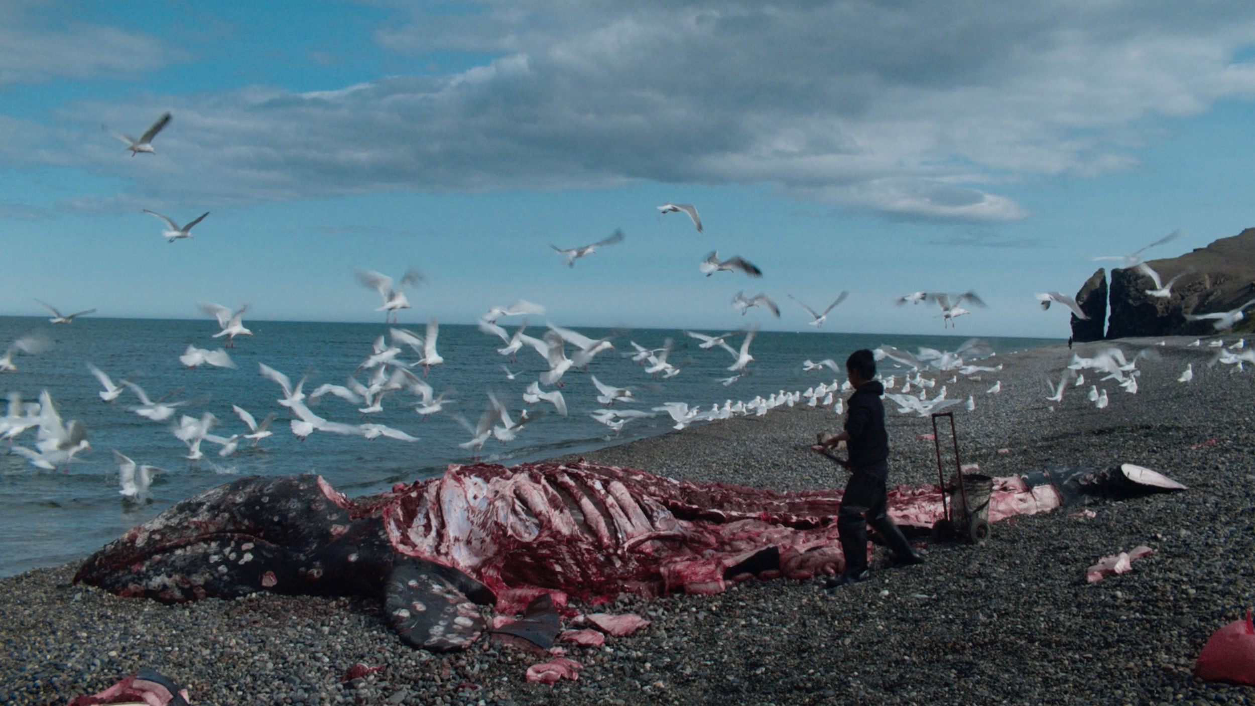 Piblokto. GLISH ART — Timofey Glinin & Anastasia Shubina