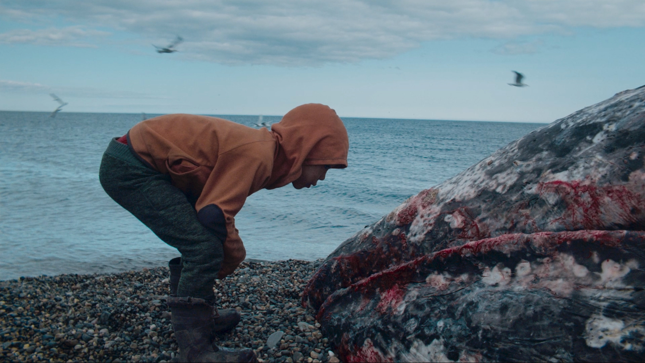 Piblokto. GLISH ART — Timofey Glinin & Anastasia Shubina