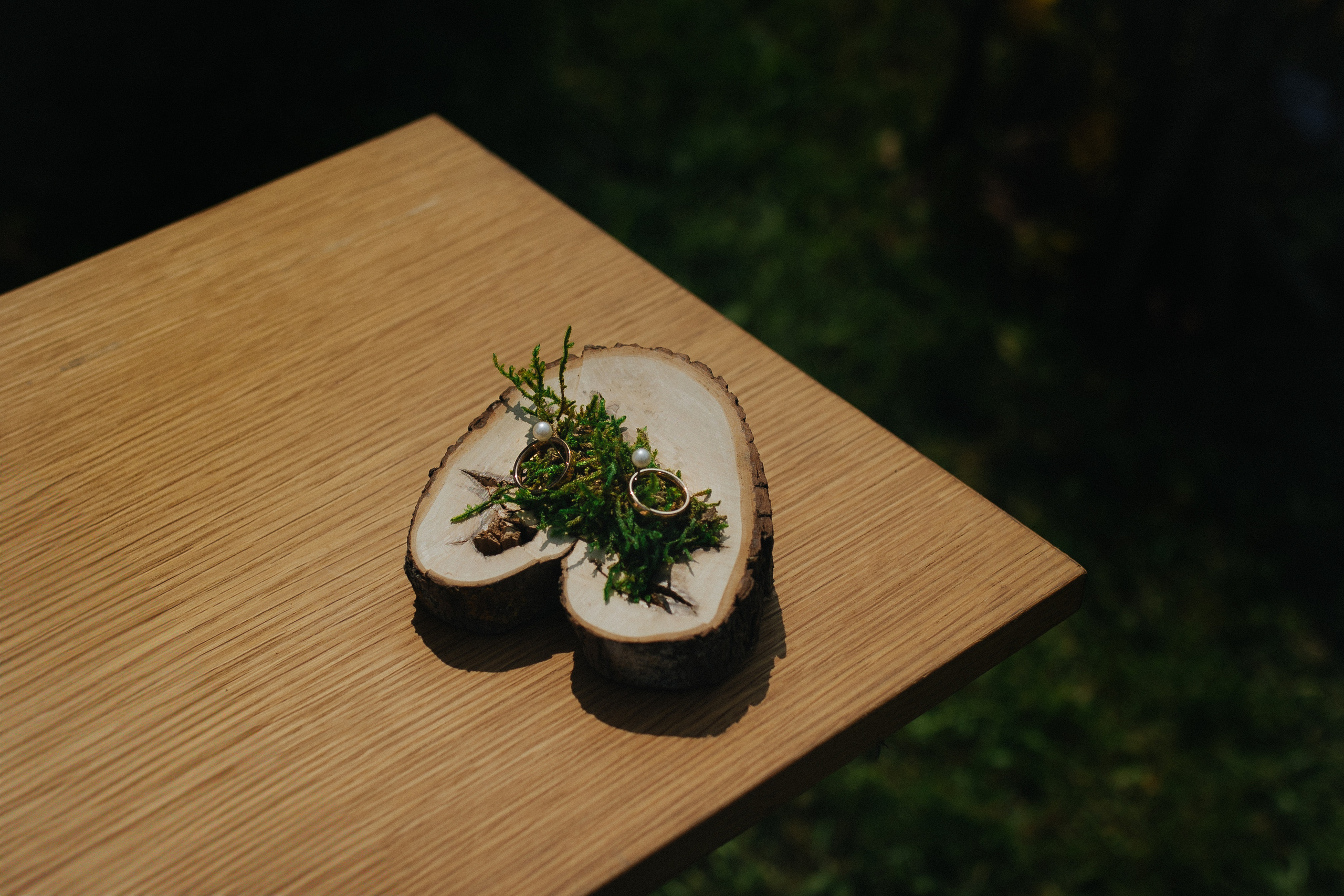 Vestuvinė fotosesija Food in the wood