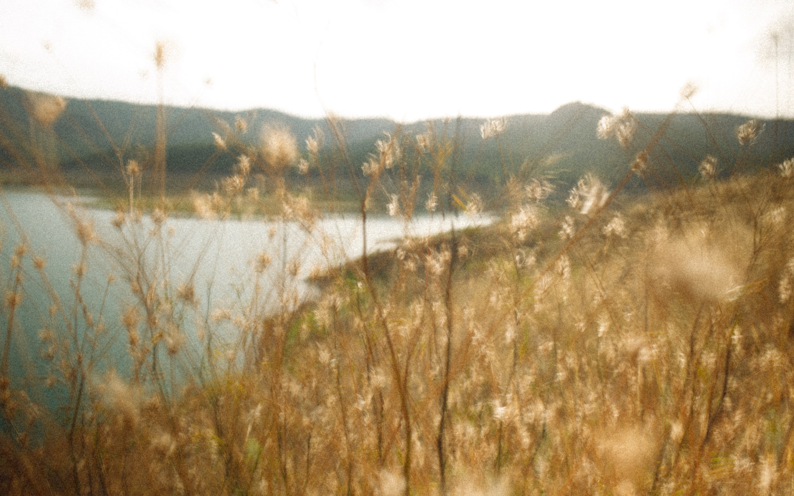 Stills from a Movie That Never Existed — Conceptual Photography by Marina Kálcheva. Marina Kálcheva — Photographer, Videographer & Visual Artist in Barcelona