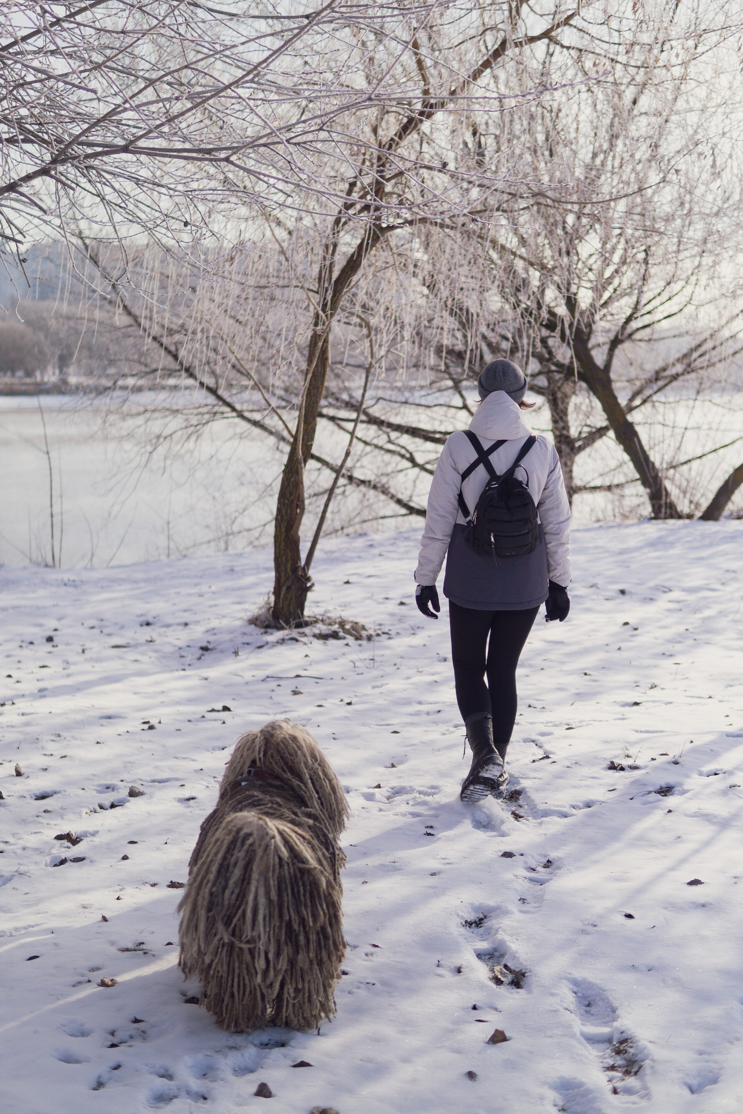 Winter Morning Walk: Zhenya and Her Dog