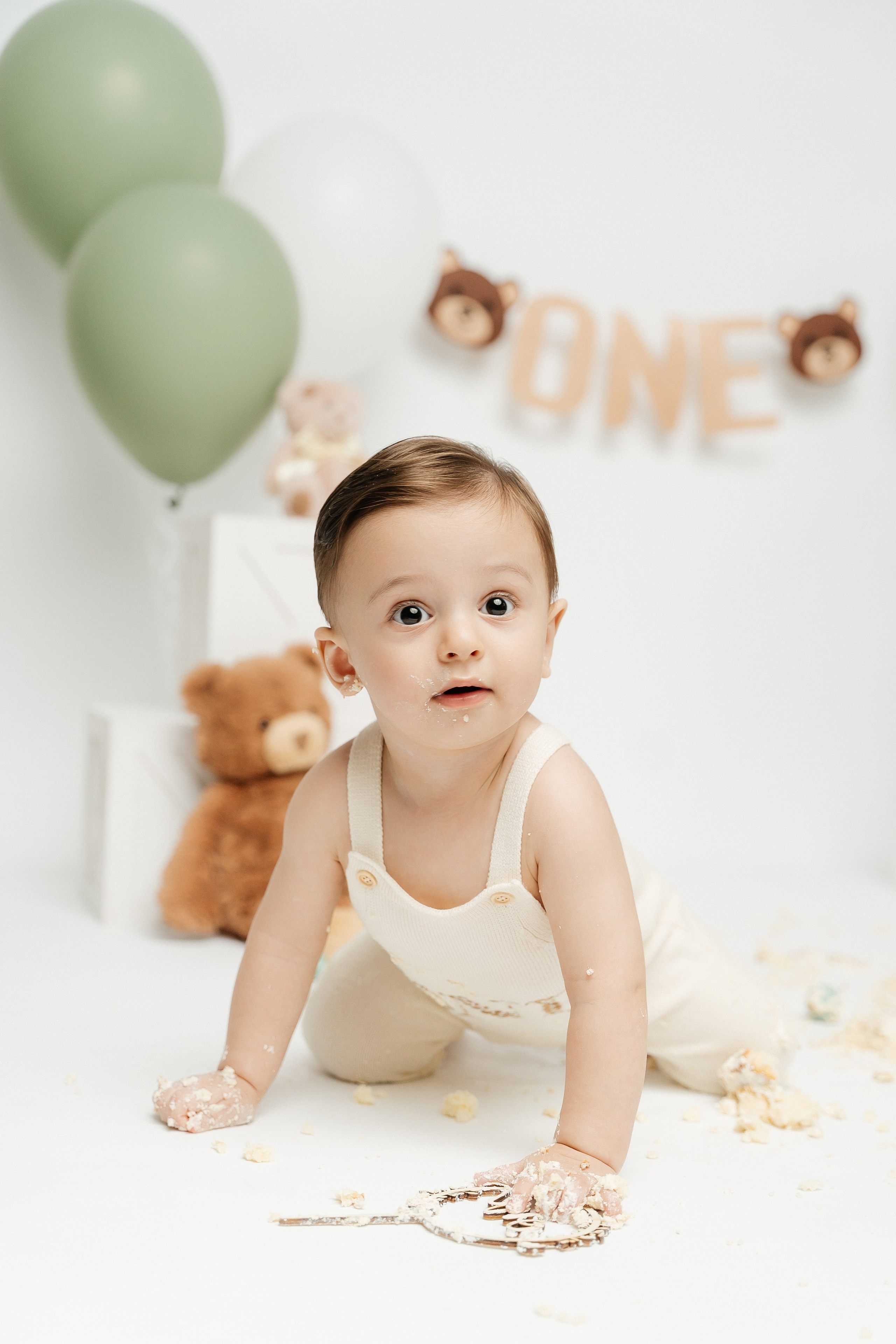 Teddy Bear One Year Cake Smash Photos. Newborn and family photographer. Hills District. Sydney