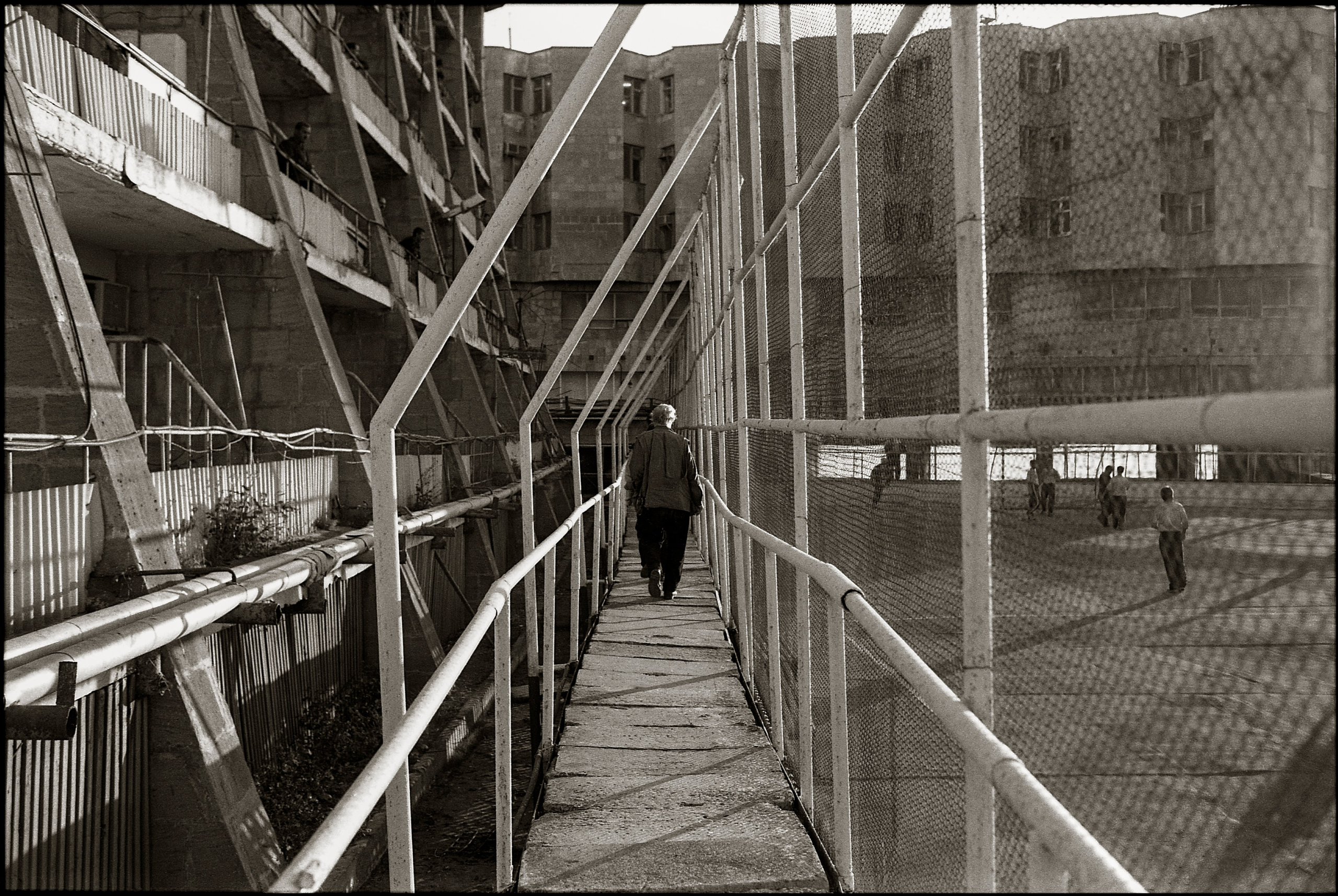 FIELD OF THE MASTER. Www.sananaleskerov.com