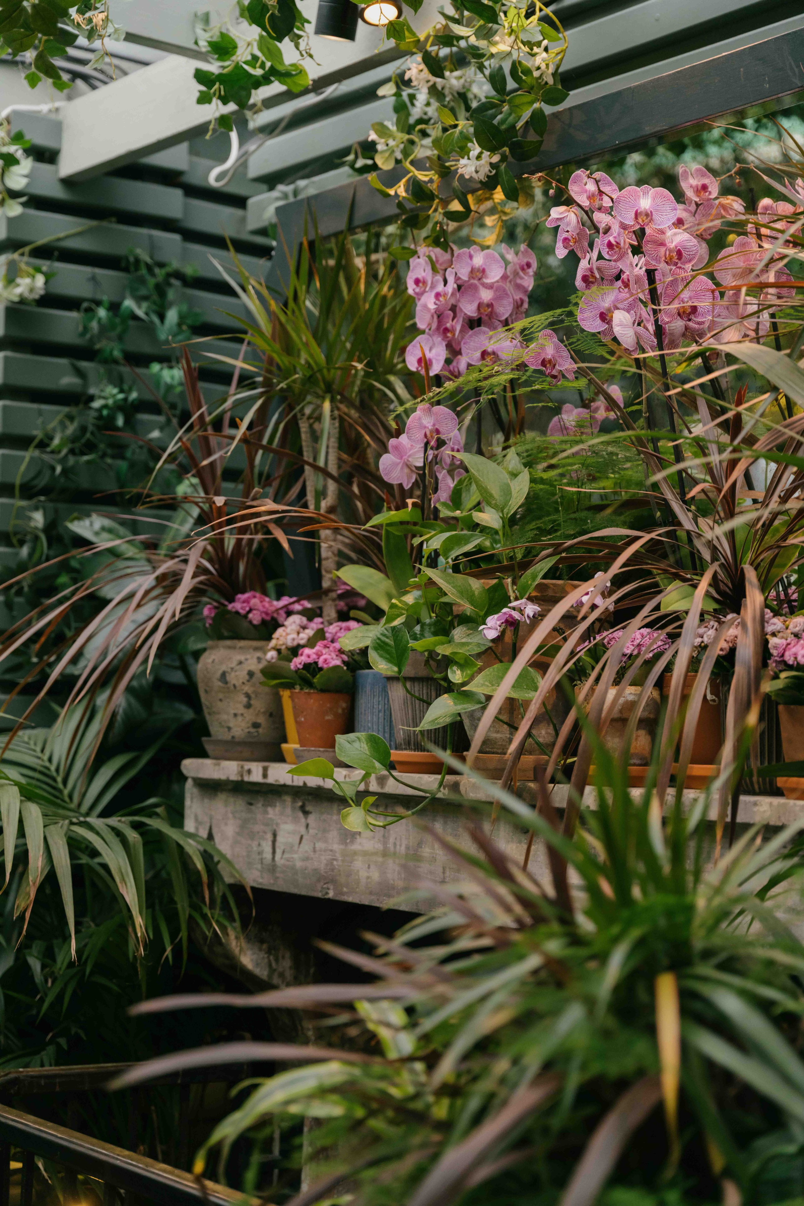 Chelsea Town Hall Wedding London | April Ceremony & The Ivy Reception. London Wedding Photographer | Engagement & Proposal Photography by Natasha Ferreira