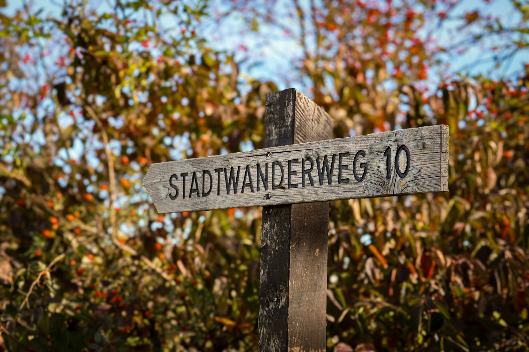 10- Franz-Karl-Effenberg | Vienna Hiking Trails