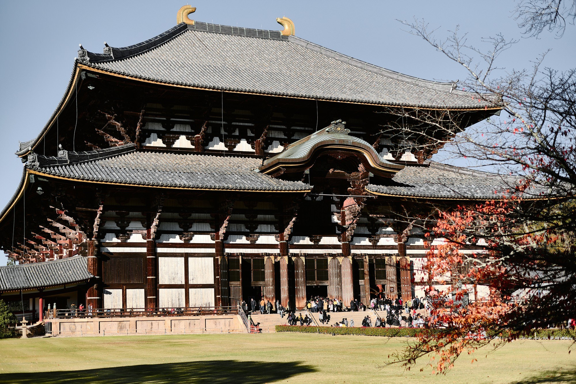 Kyoto and Nara, Japan — A Photographer’s Travel Guide