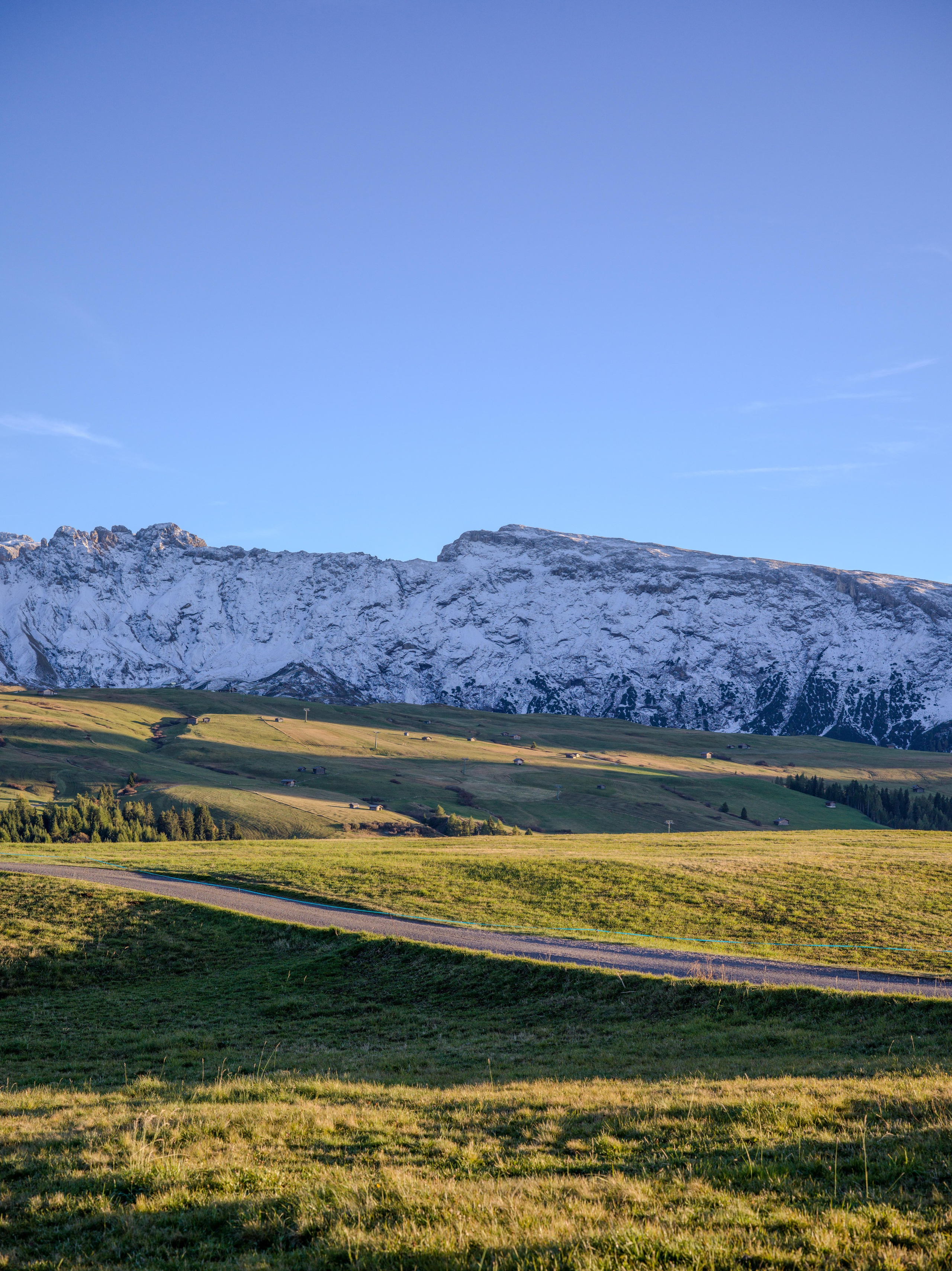 Alpe di Suisi, the Dolomites