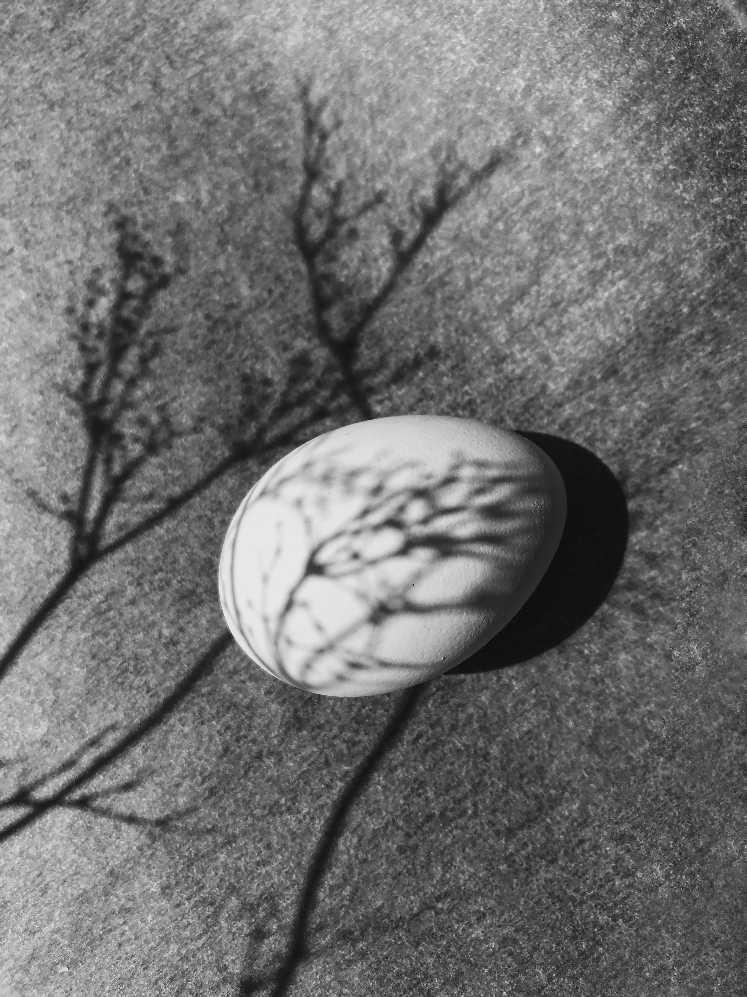 Projects. Photographer and visual artist Irina Vovk