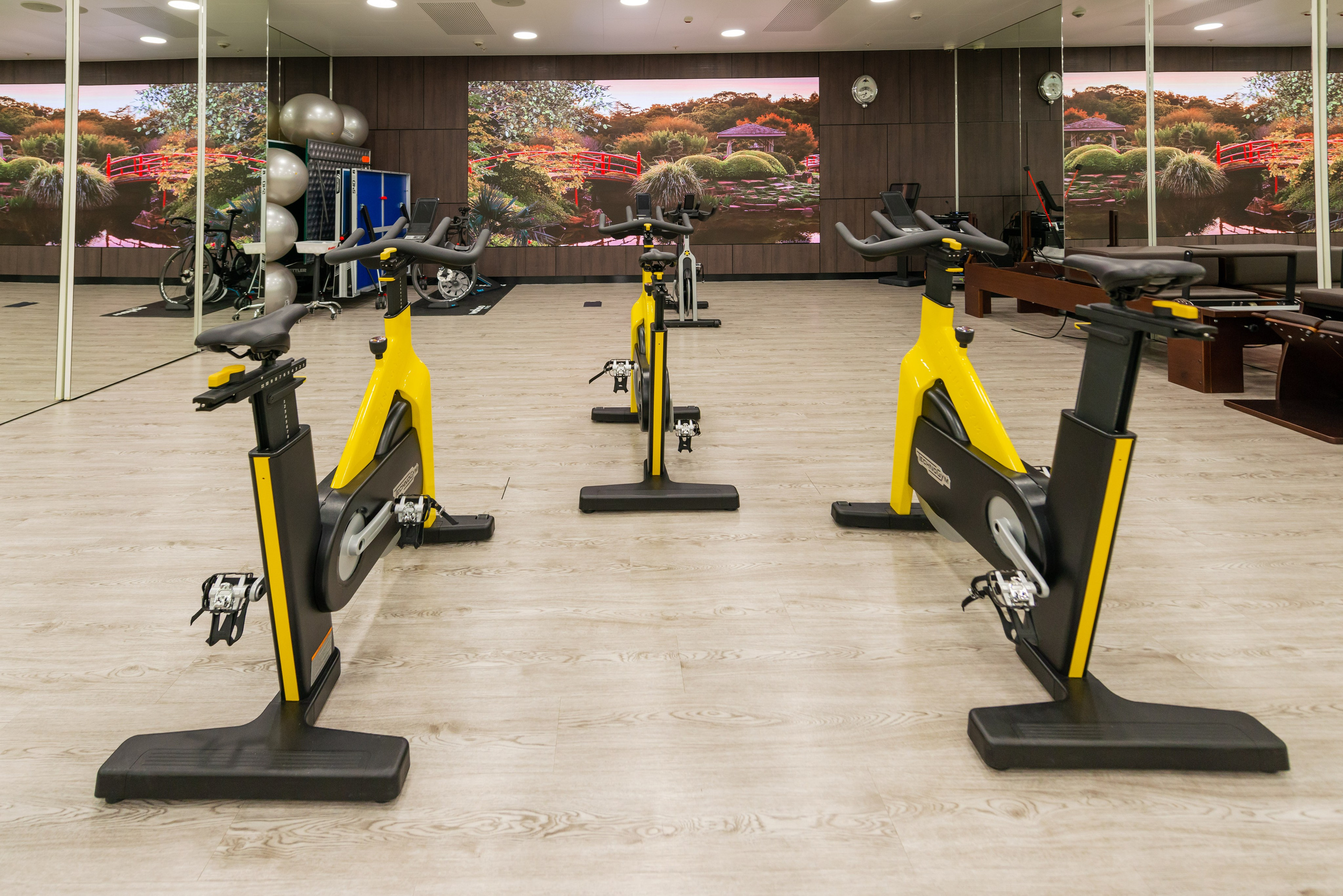 Фитнес-клуб Royal Wellness Club. ФОТОГРАФ МЕКСИКА КИНТАНА-РОО