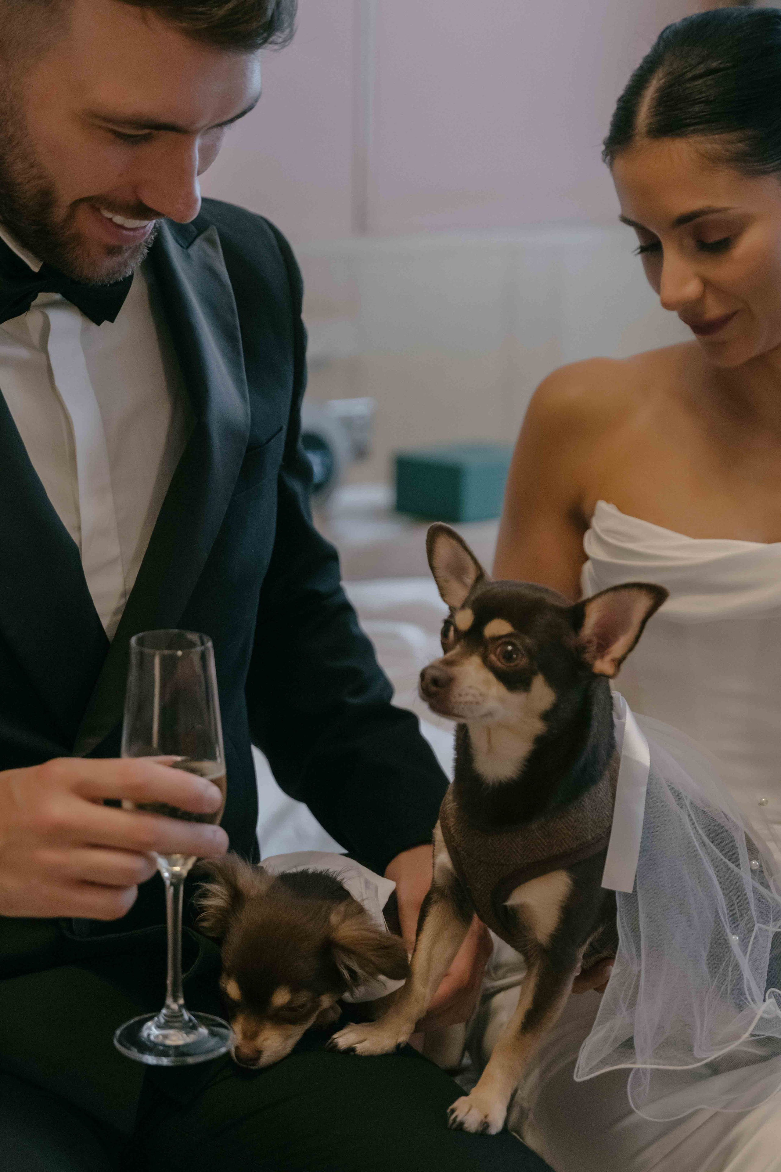 dog at wedding London intimate ceremony pet friendly wedding candid photography UK