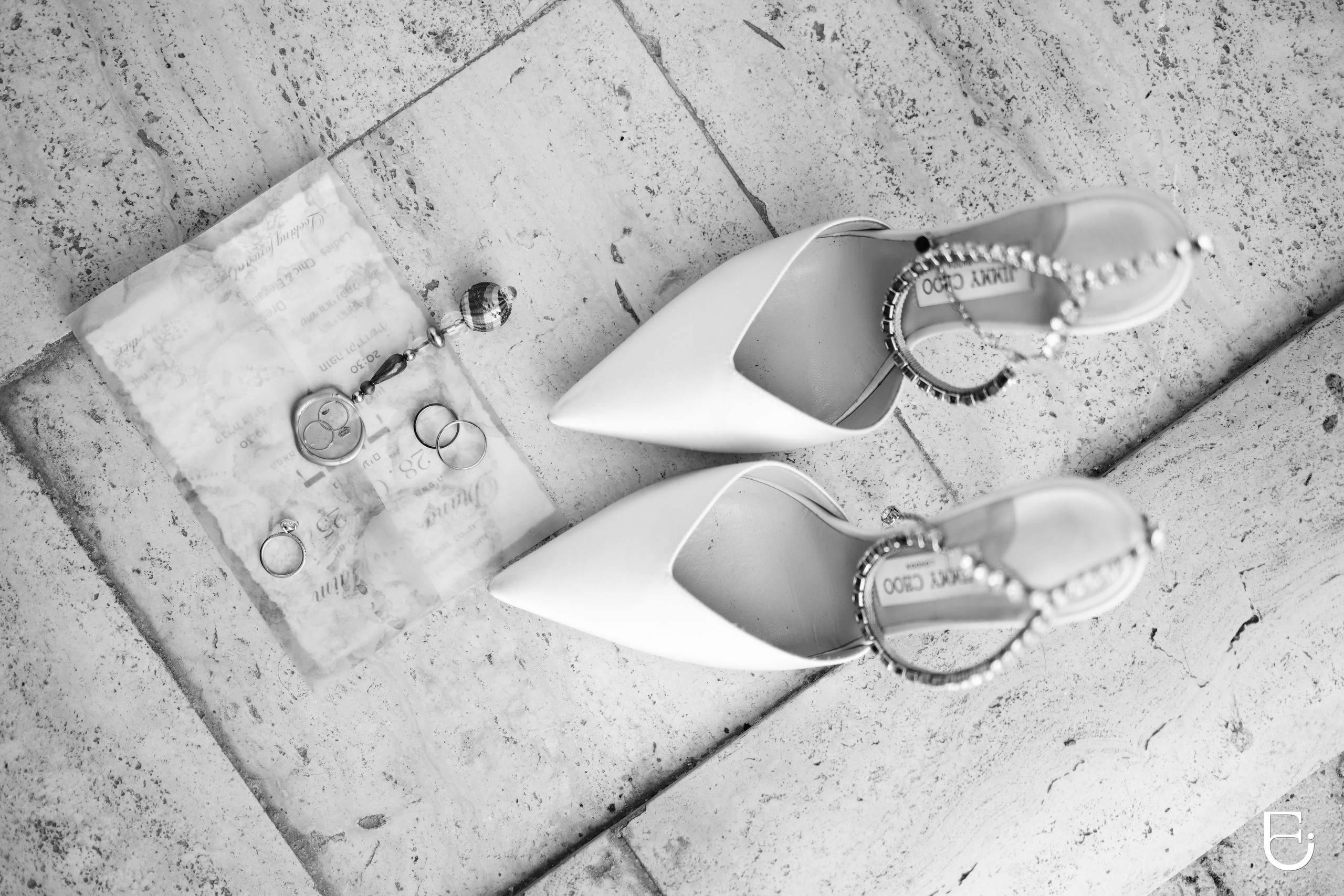 CAMELLIA ART PHOTOGRAPHY