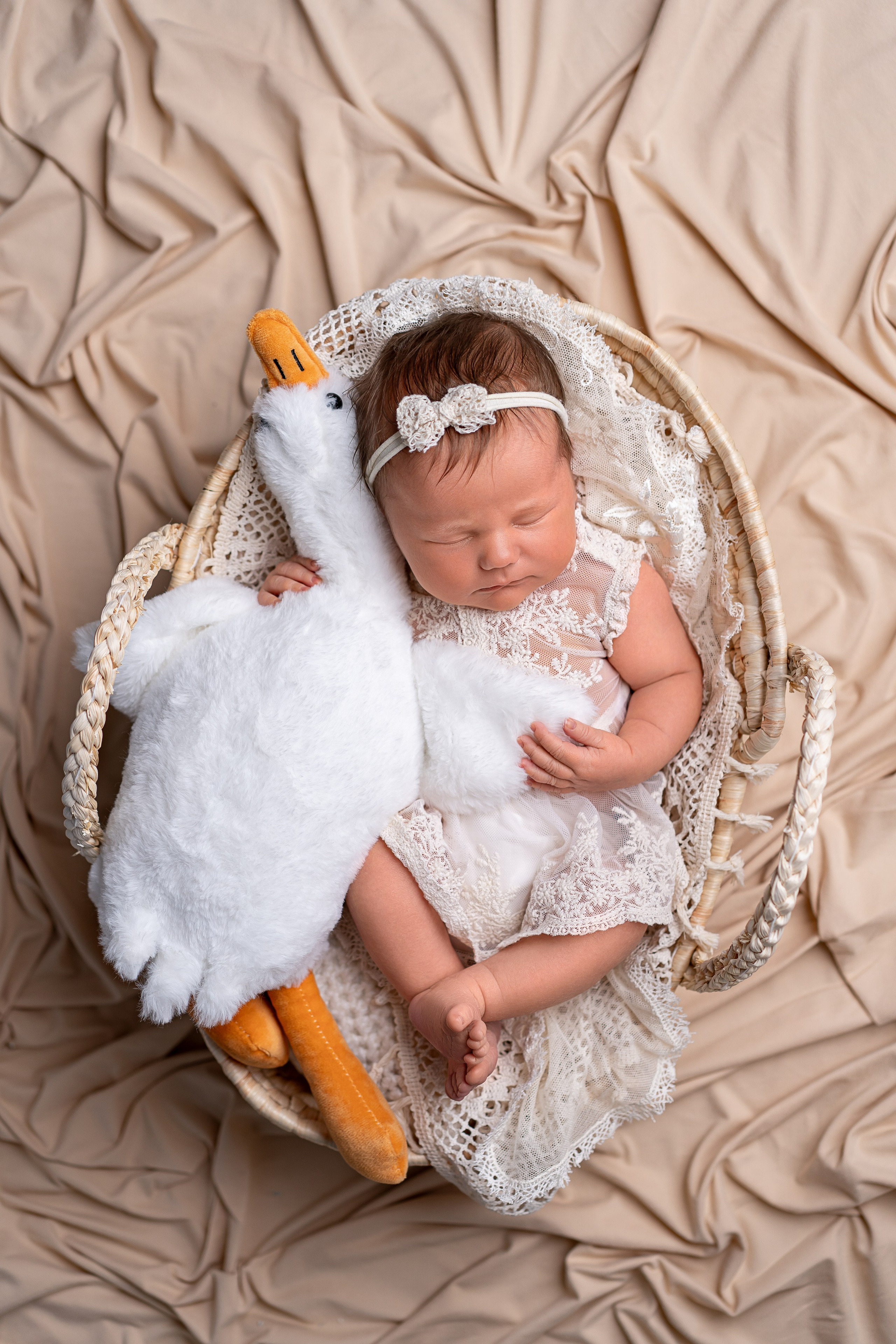 Neugeborenenfotos in Berlin – Studio oder bei Ihnen zu Hause