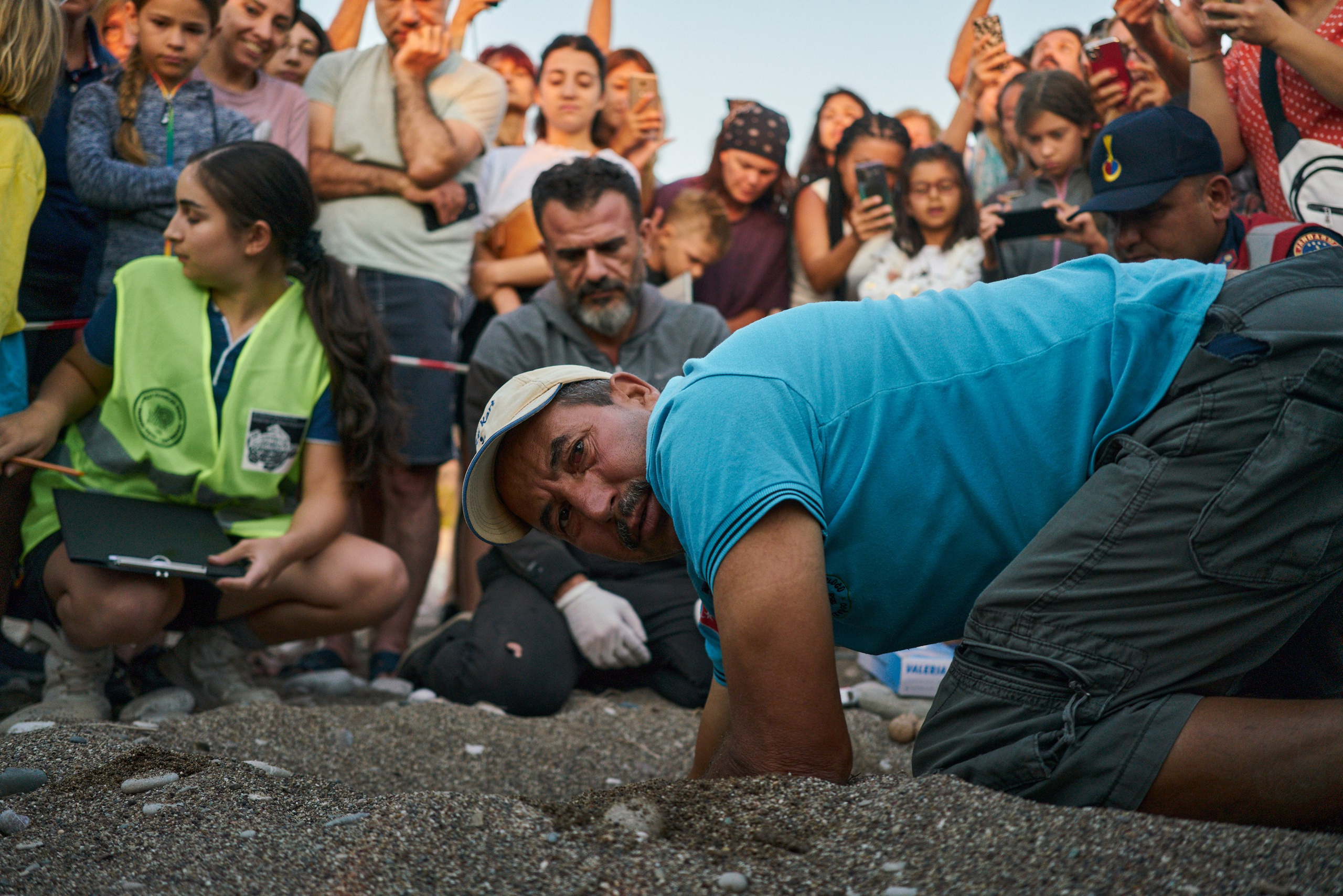 Caretta caretta | Anastasiia Nelen photographer