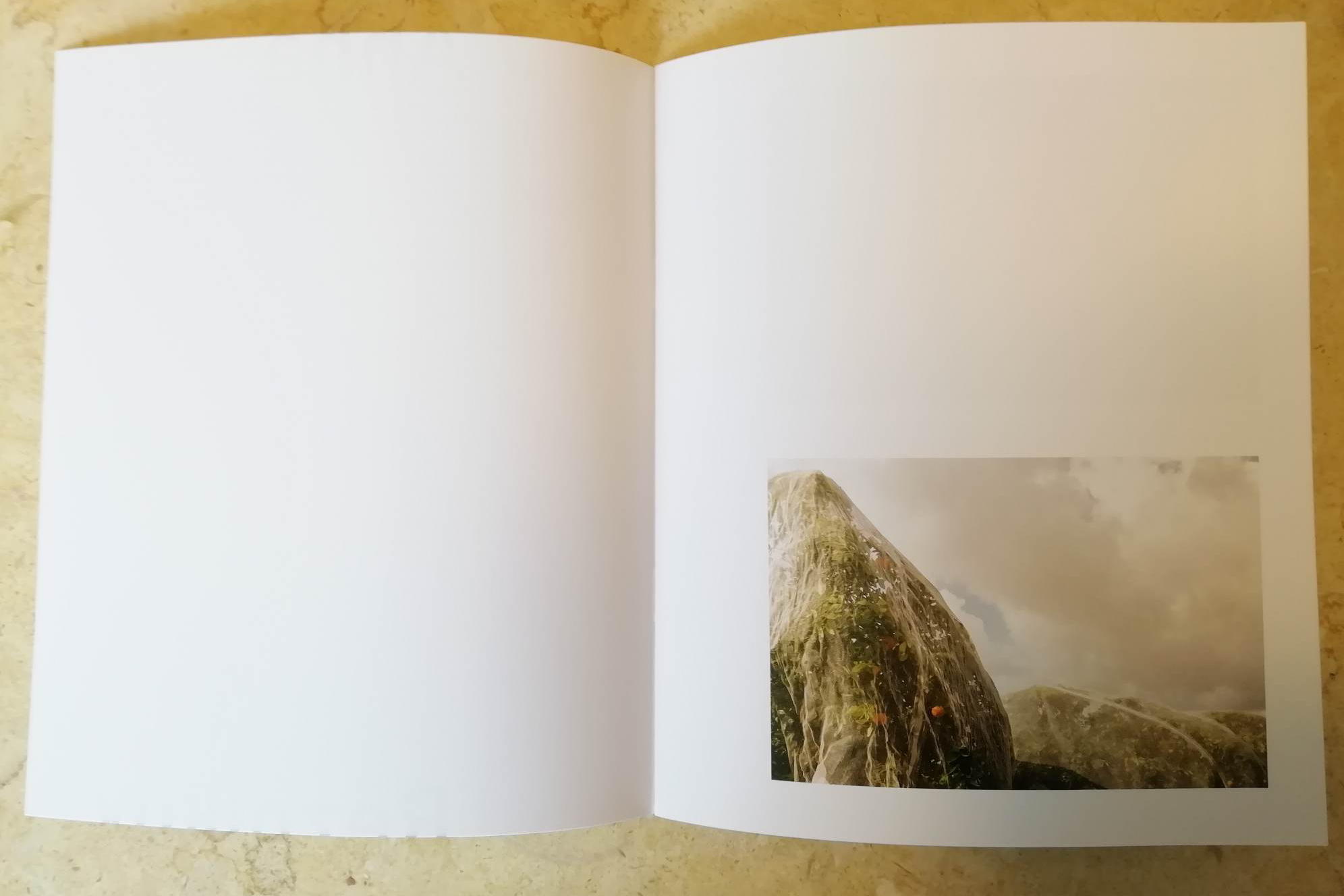 Биография Анны Резников. Фотограф Анна Резников