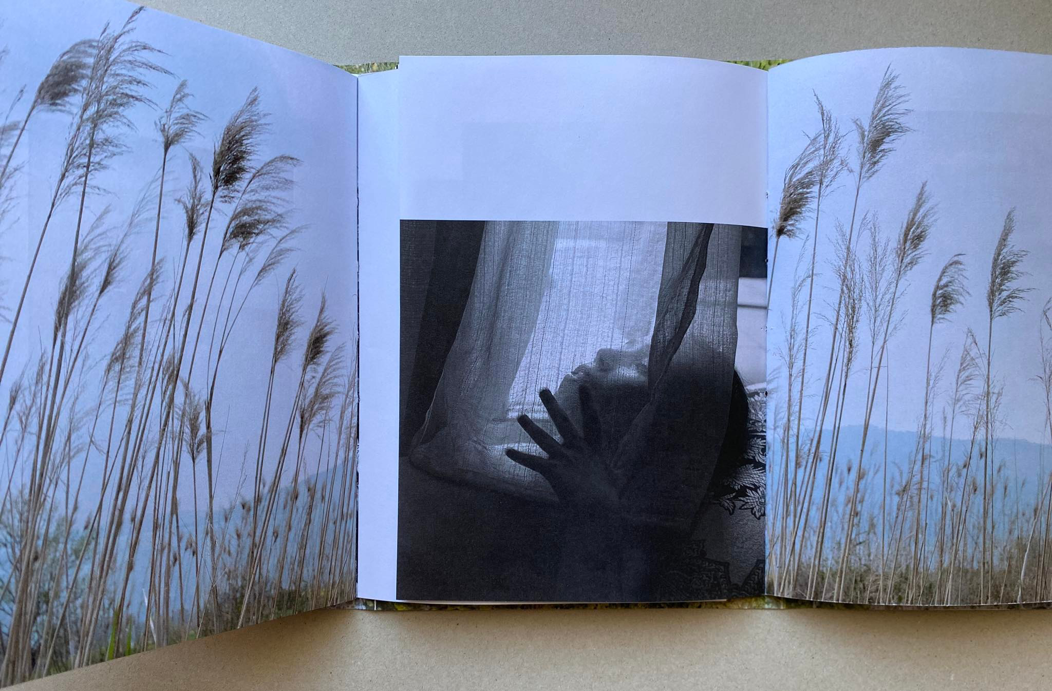 Биография Анны Резников. Фотограф Анна Резников