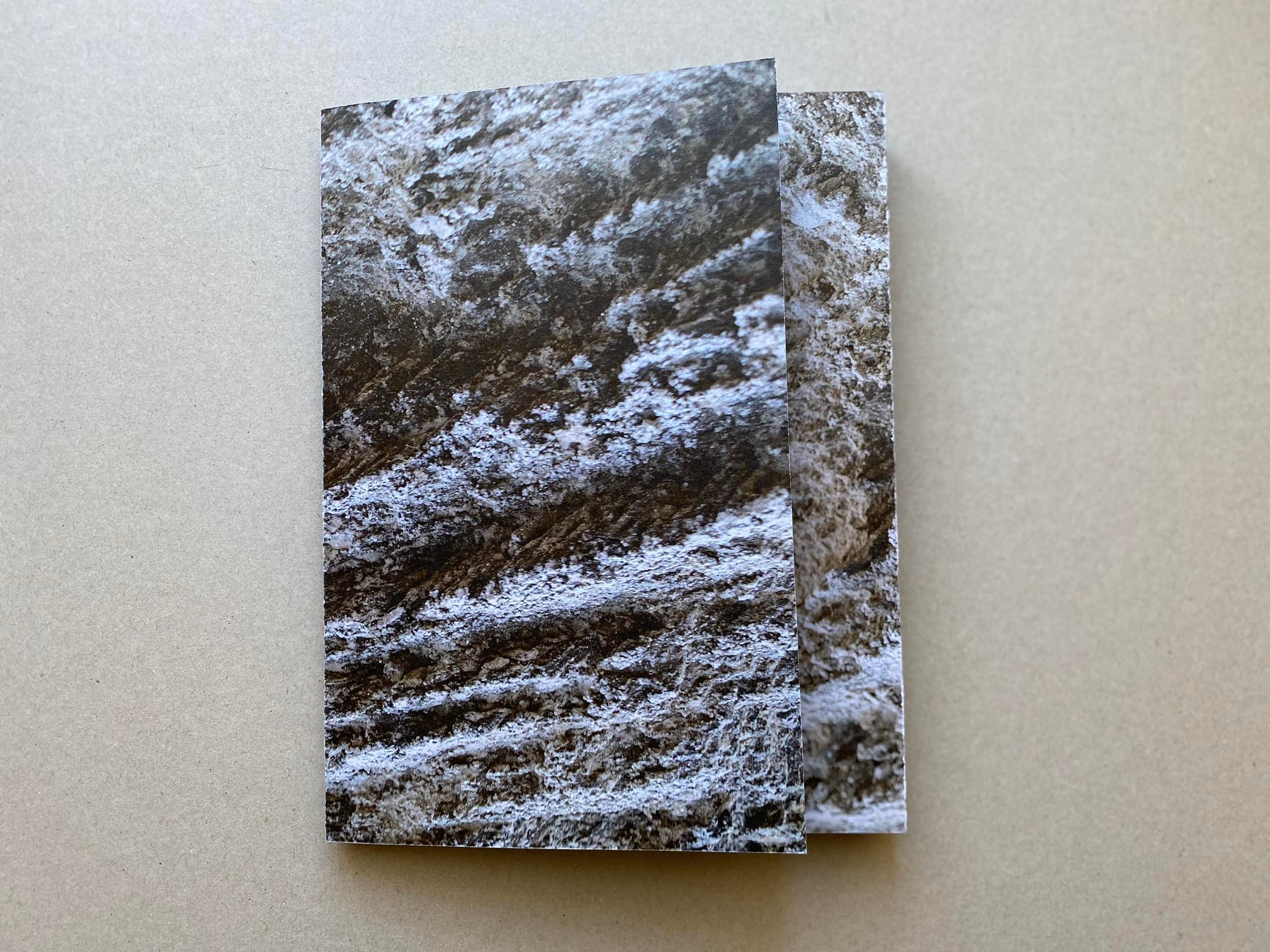 Биография Анны Резников. Фотограф Анна Резников