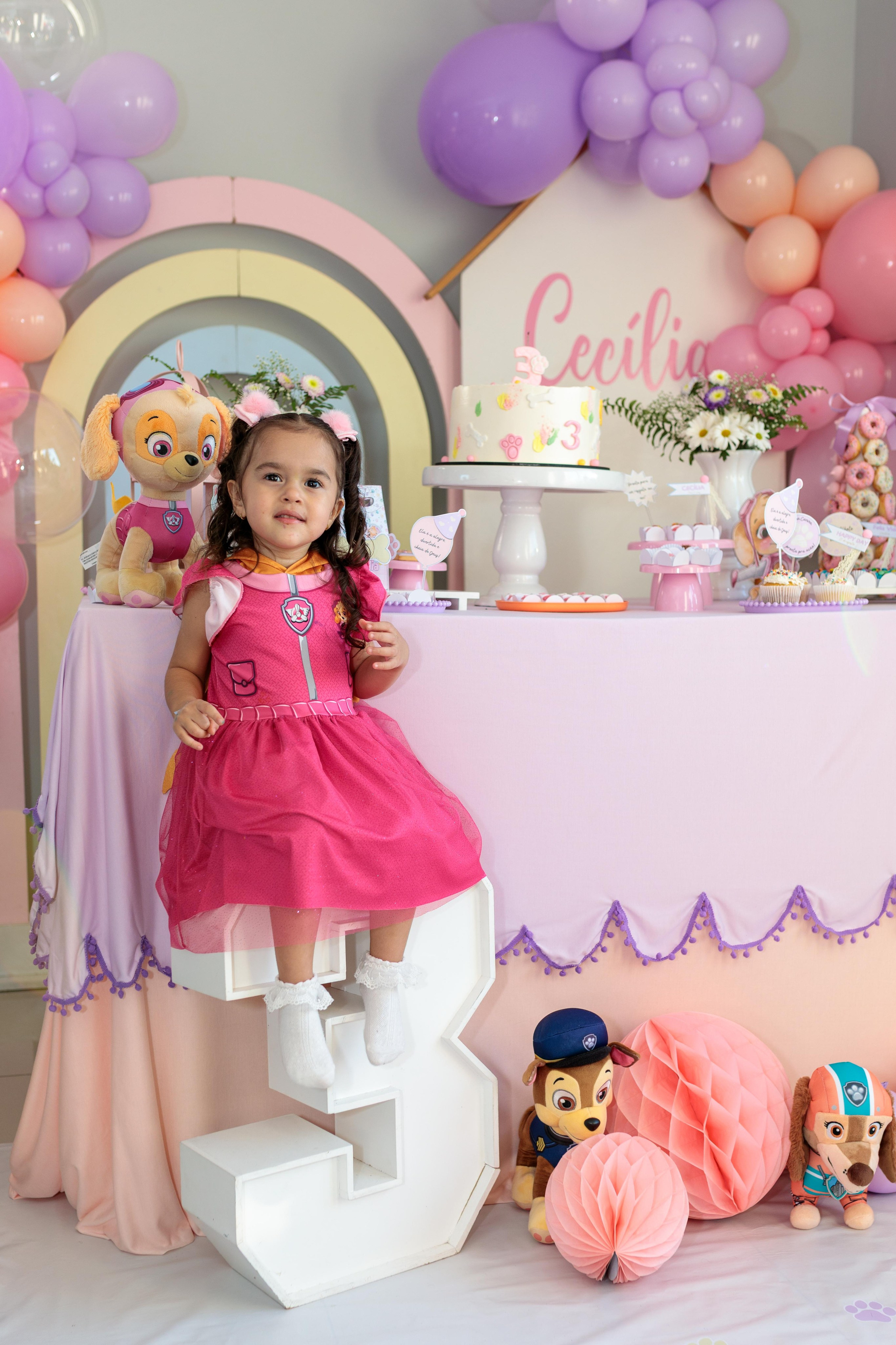 Fotógrafo de festa infantil em Joinville - Aniversariante no painel de fotos decorado por Lenofotografia