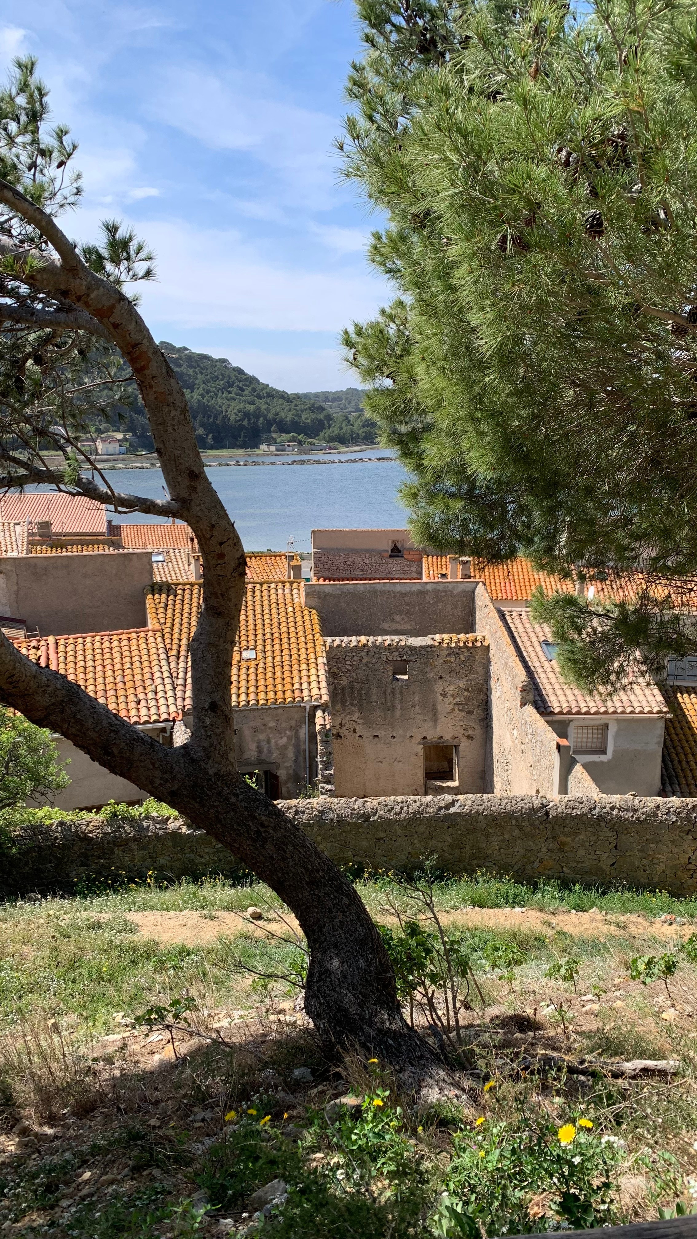 Déménagement au Sud. Photographe professionnelle à Poitiers, Tours et Châtellerault | Studio photo entre Poitiers et Tours – portraits, familles, entreprises, ma