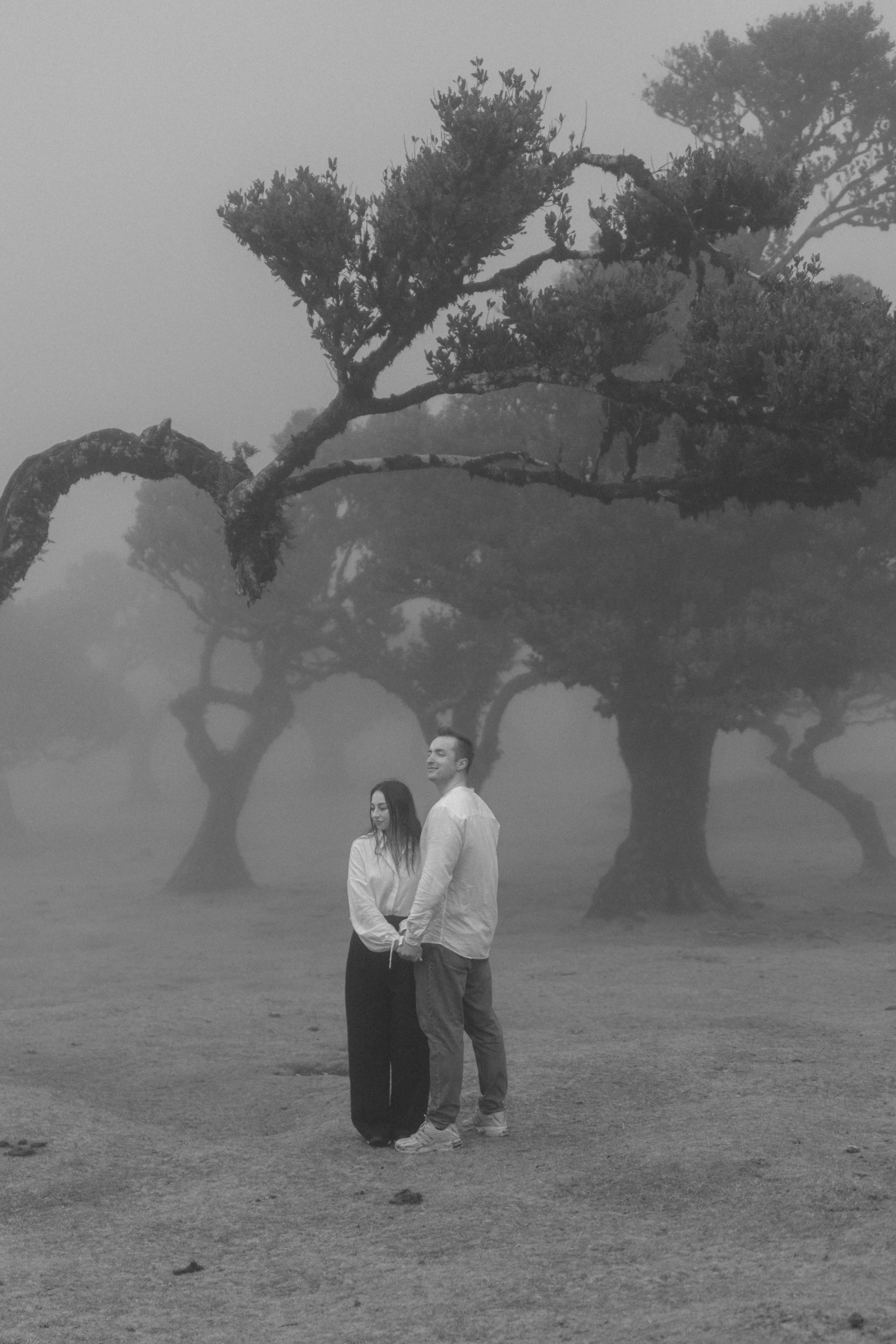 Magic of Fanal Forest. Wedding photographer and videographer based in Timisoara, Romania