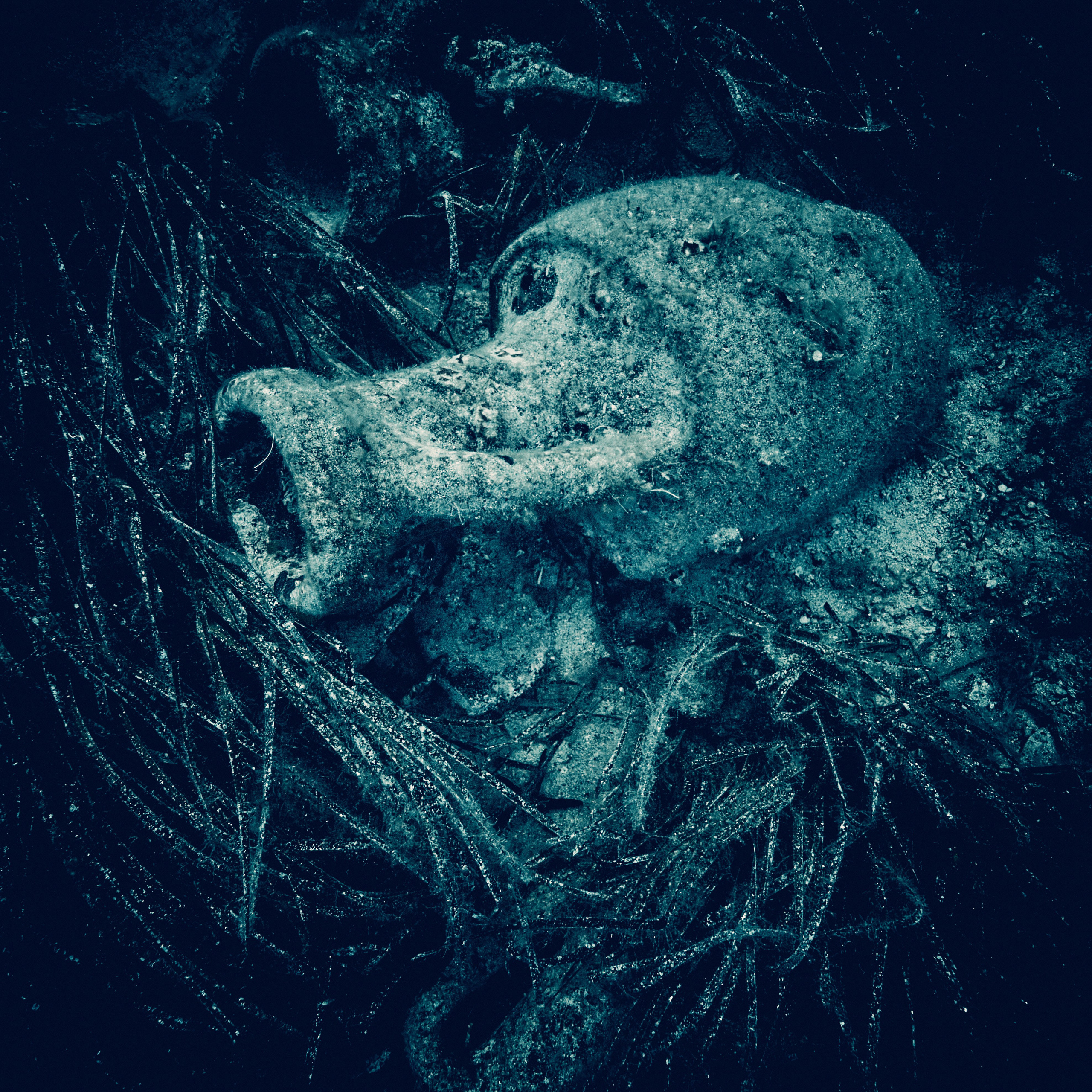 Wielka Niebieska Tajemnica. Andriej Szypilow — Photography & Videography