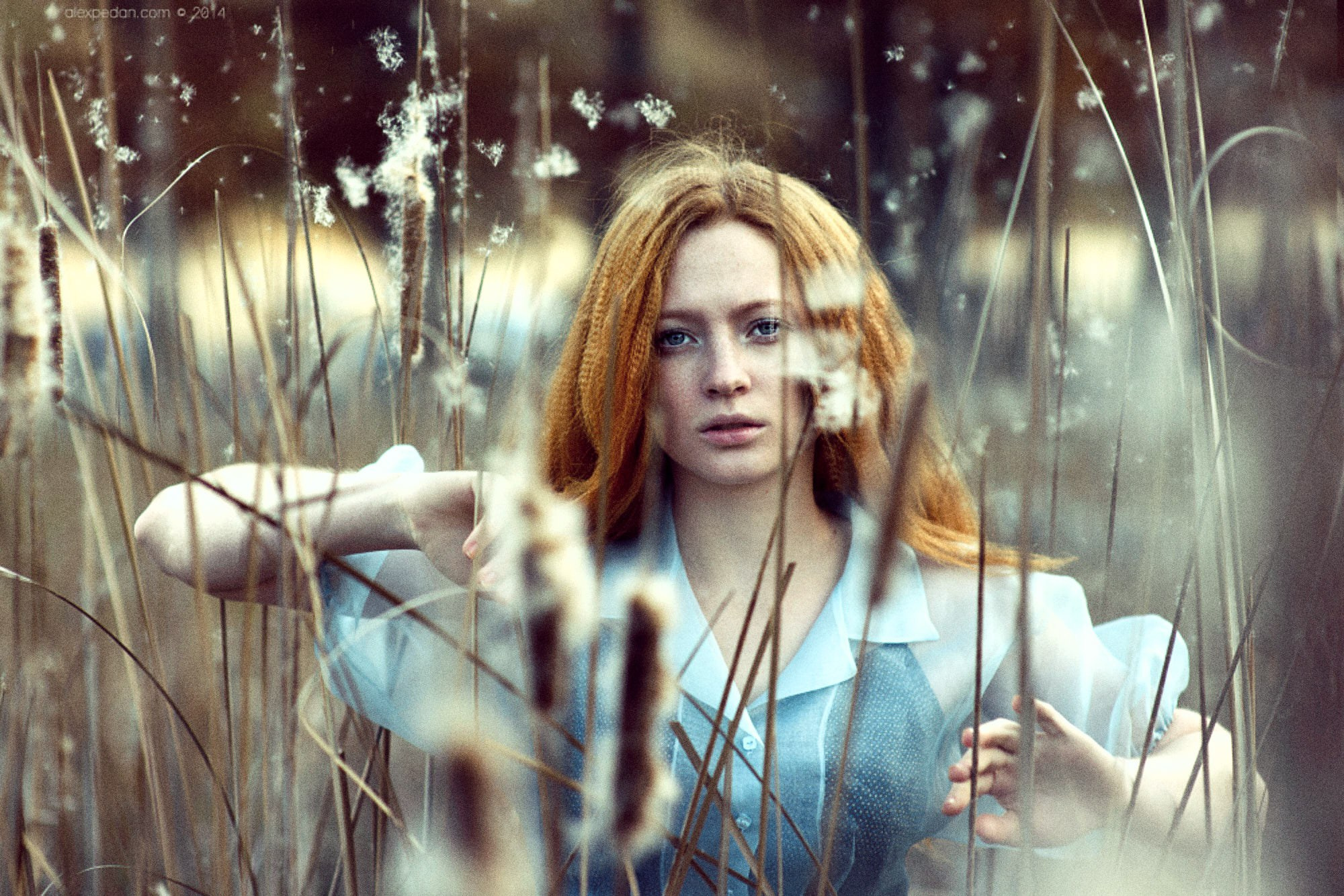 Art fashion portraits. Alex Pedan Photography & Videography