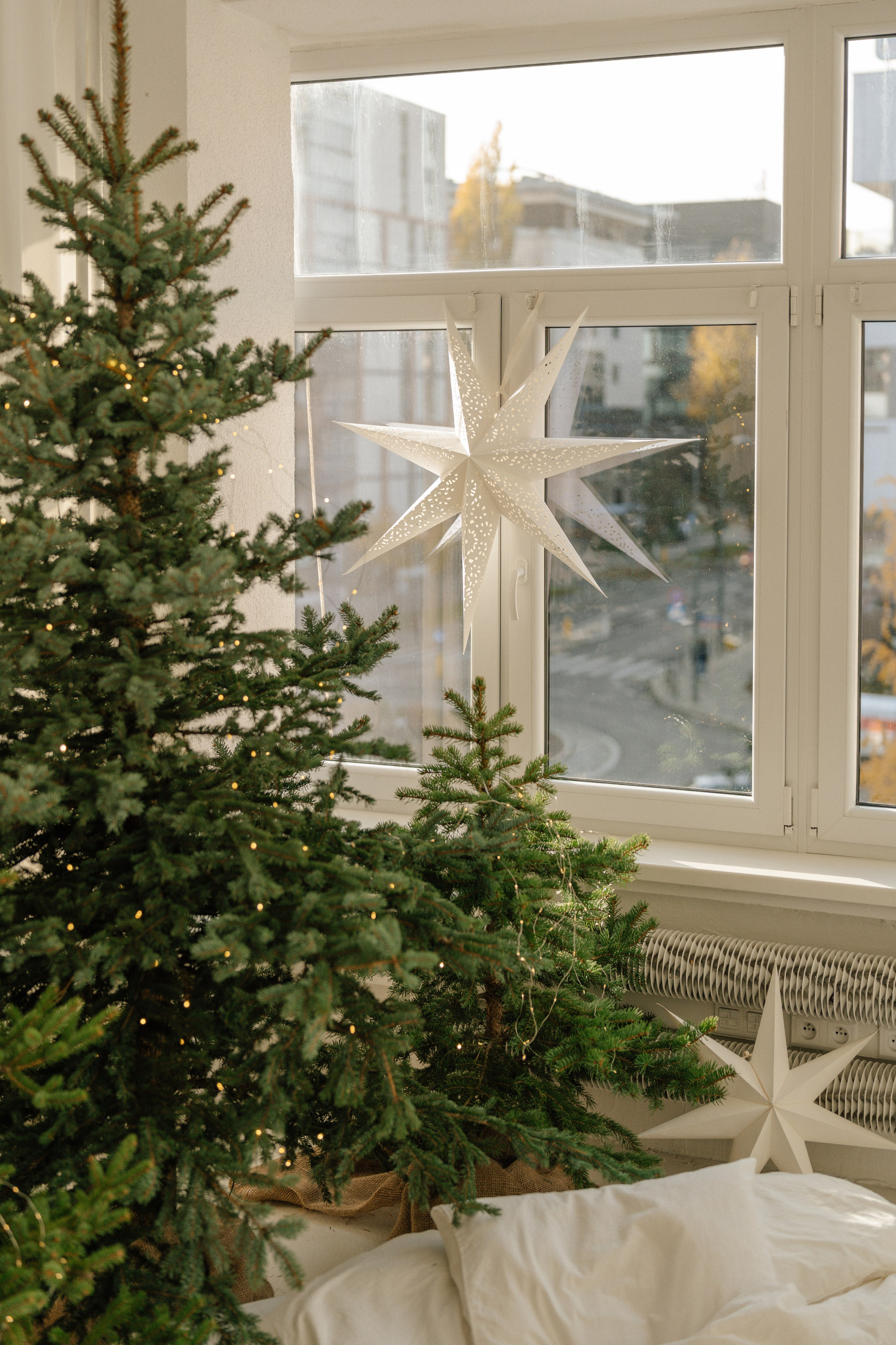 Студії новорічні. Весільний, сімейний фотограф Варшава