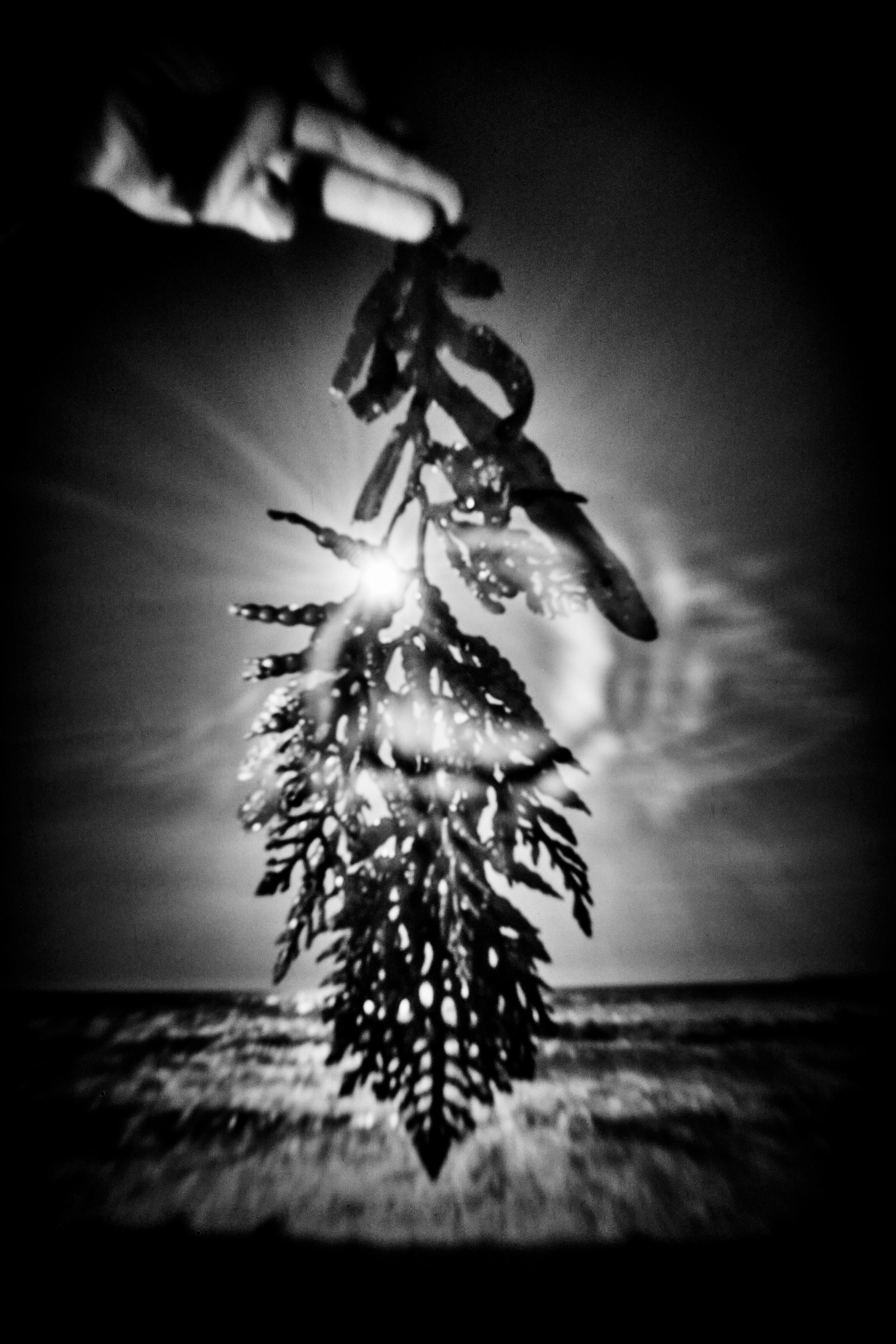 Entrance to the void. GLISH ART — Timofey Glinin & Anastasia Shubina