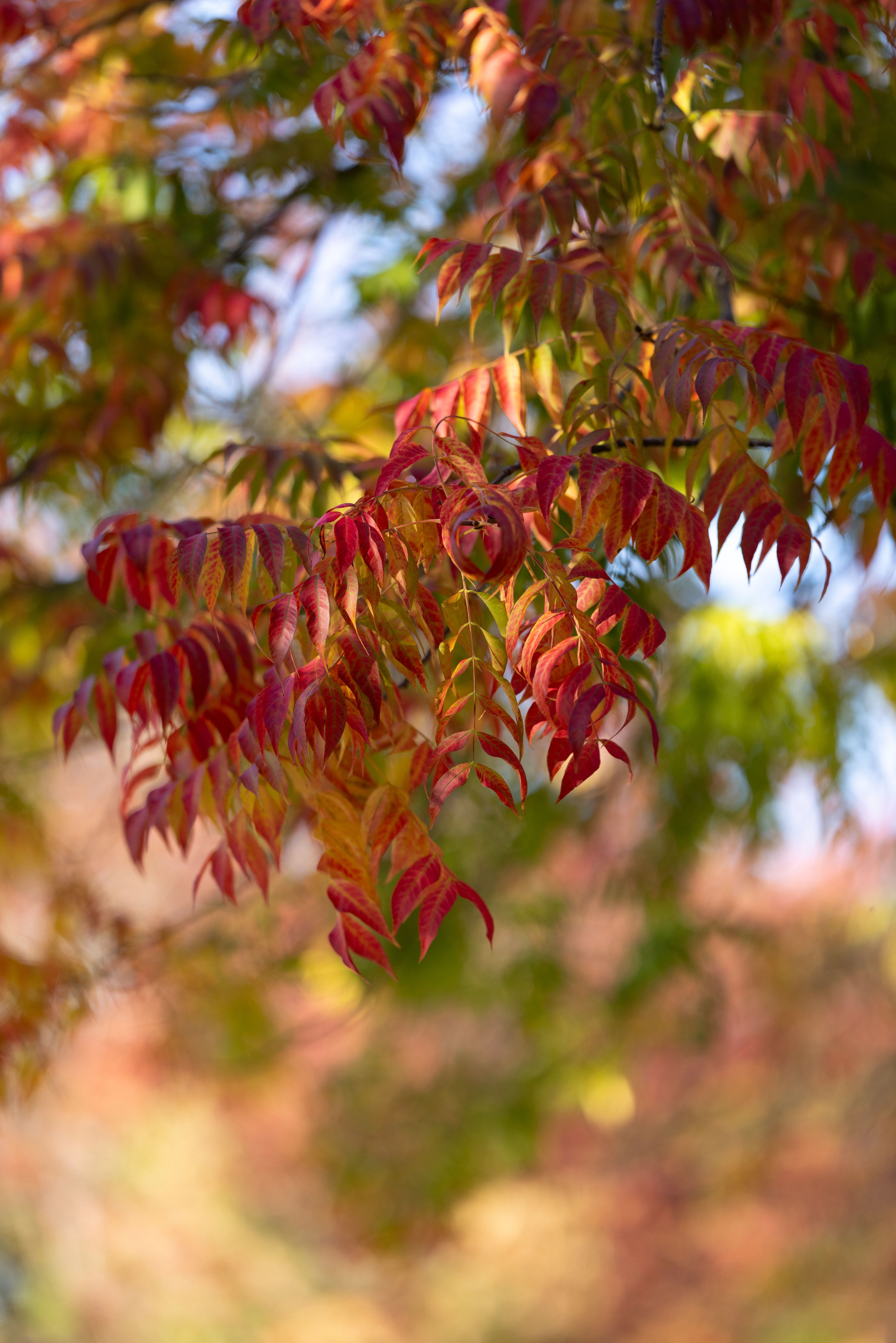 Family photoshoot. Newborn photographer Sacramento