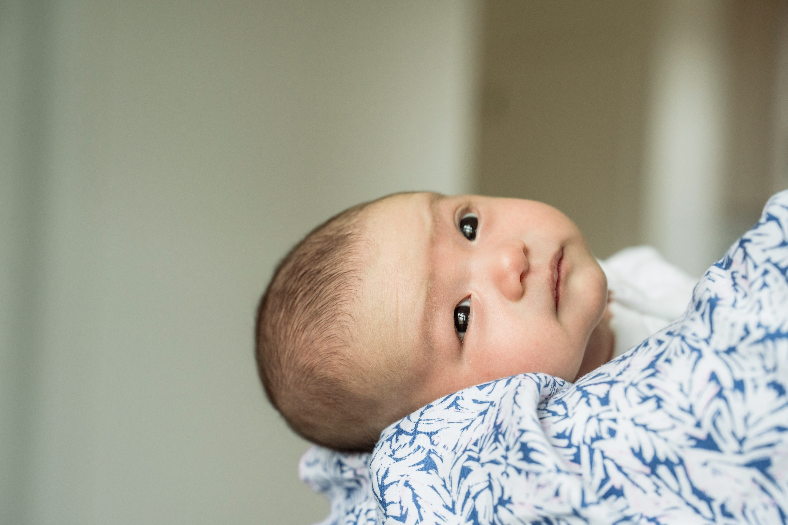 Kristine, Brian, Sloane. Alisa Tant — Family and newborn photographer Bucks County, Montgomery county, Philadelphia, NJ