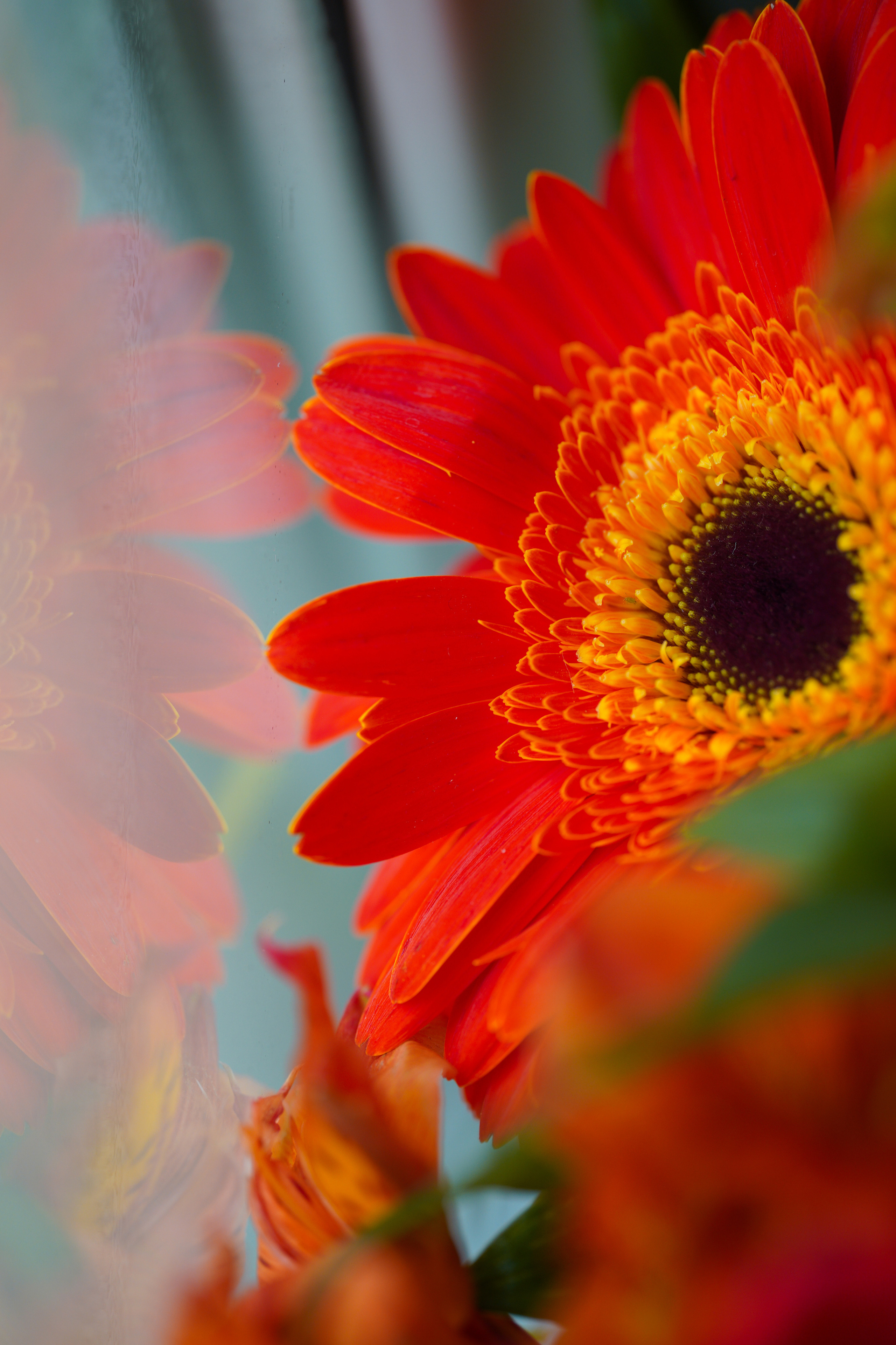 SIGMA 105 mm F2.8 macro DG DN Art. Фотограф Григорий Кравец