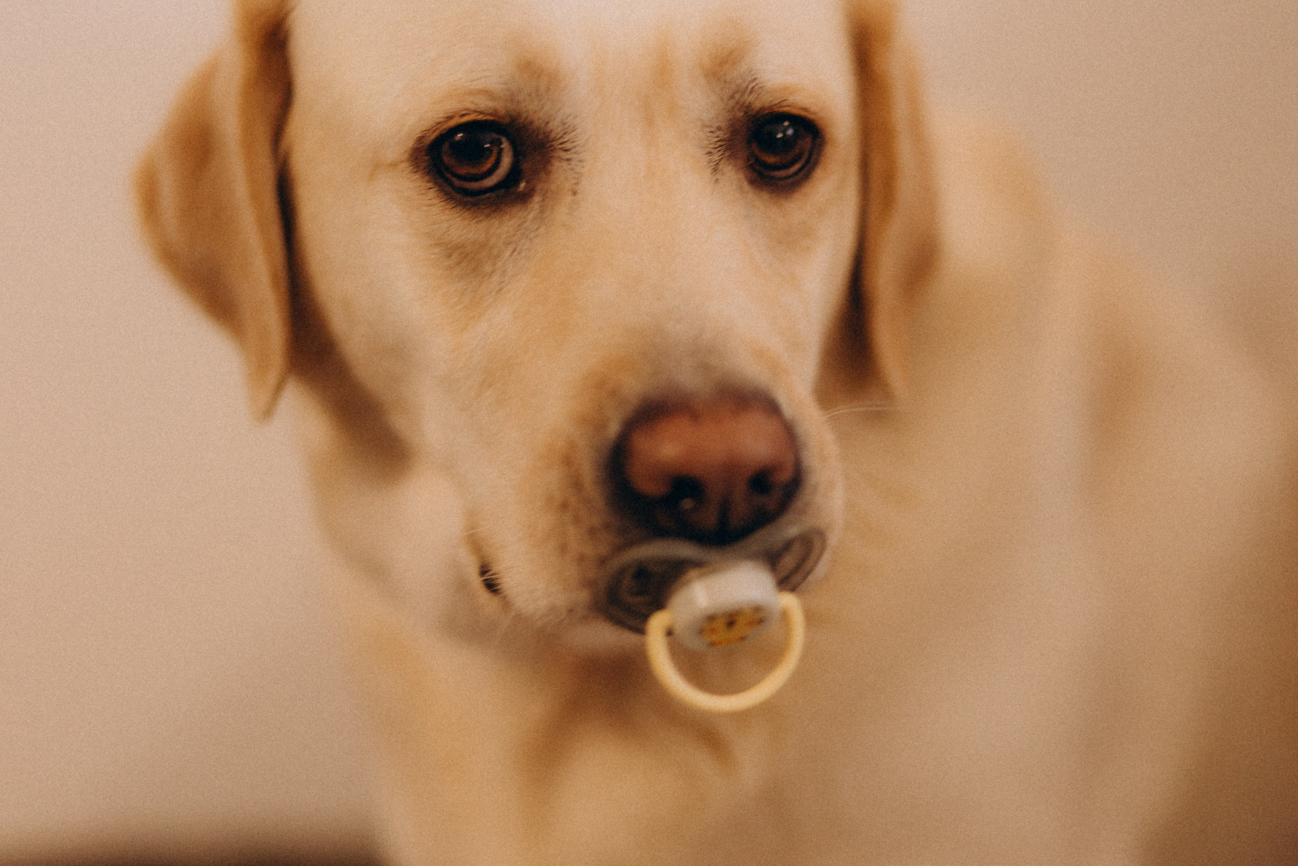 Contact. Je suis Olga, votre photographe de famille à Metz et dans toute la France