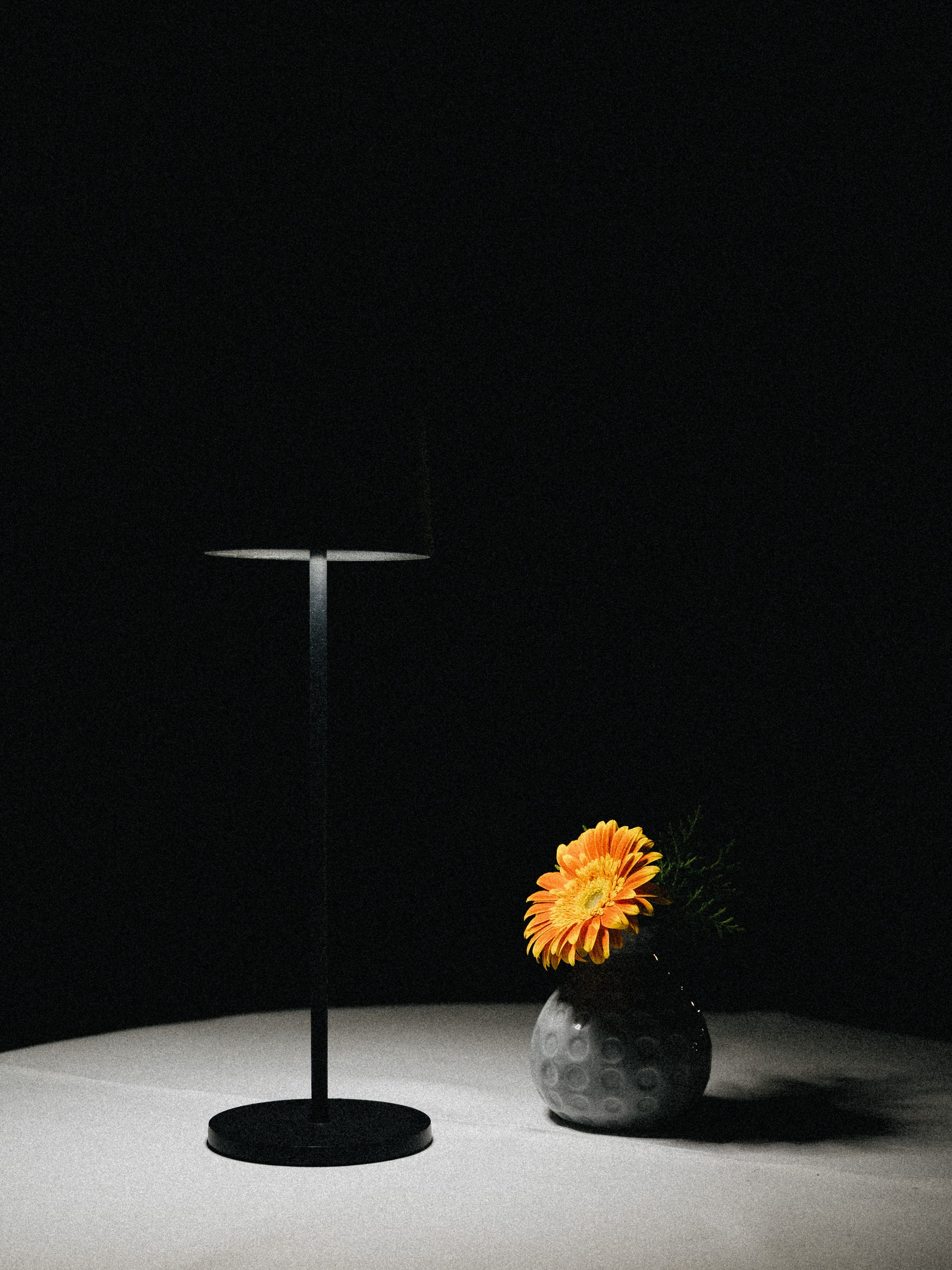 Jose Omar & Jelena. Wedding photography