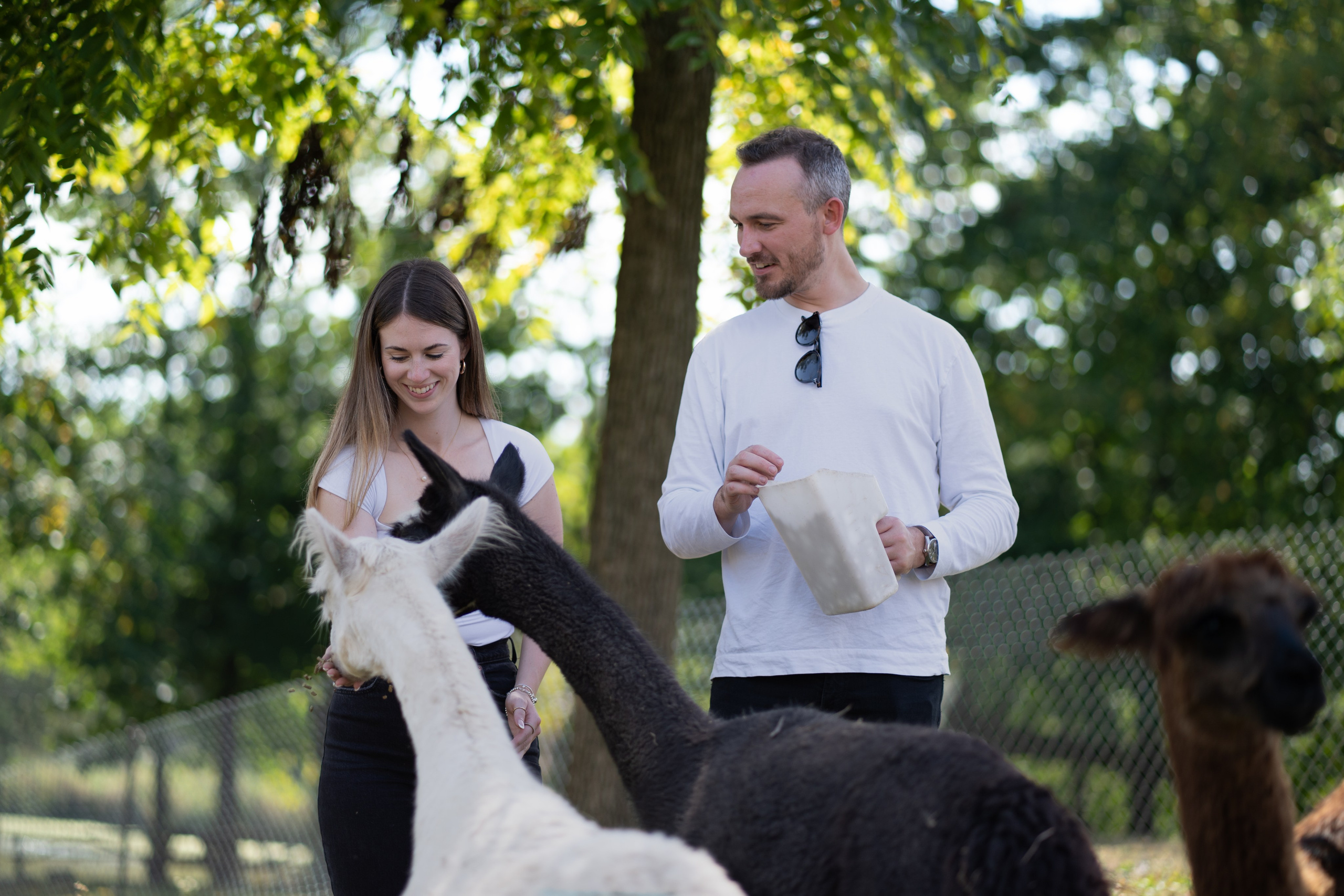 Personal. Photography / Videography Niagara | Toronto