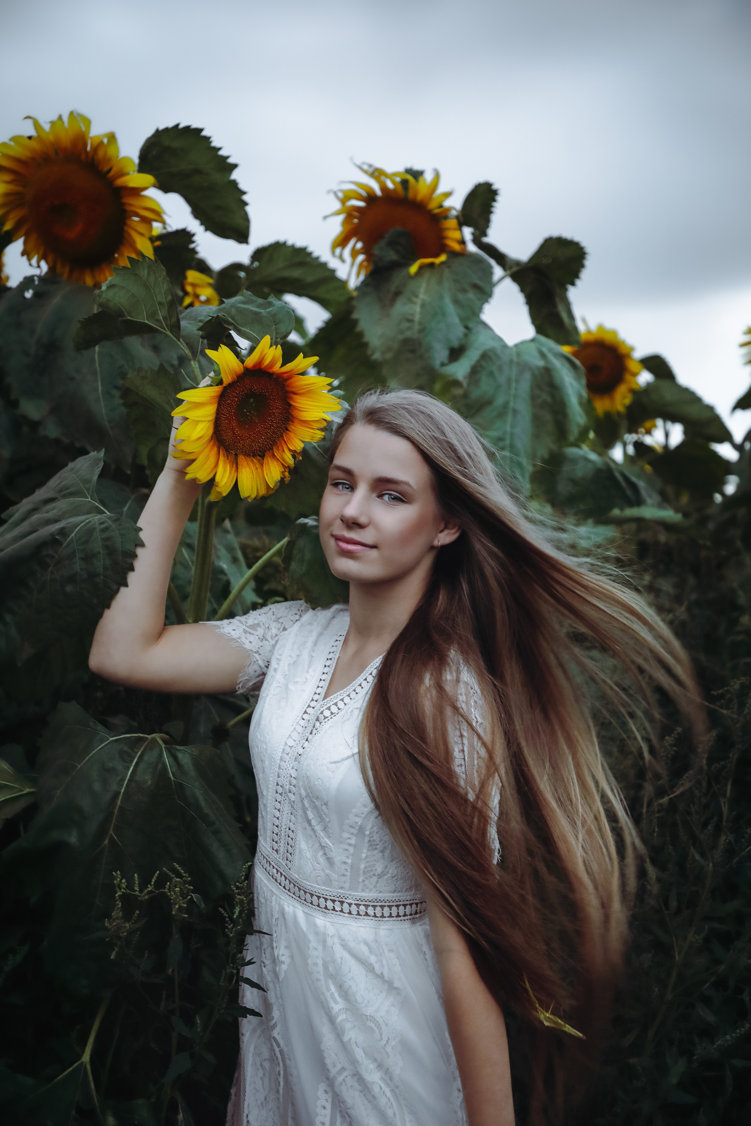 Ance&Sunflowers. PORTRAIT|FAMILY|CHILDREN|BRAND PHOTOGRAPHER UK, CAMBRIDGESHIRE
