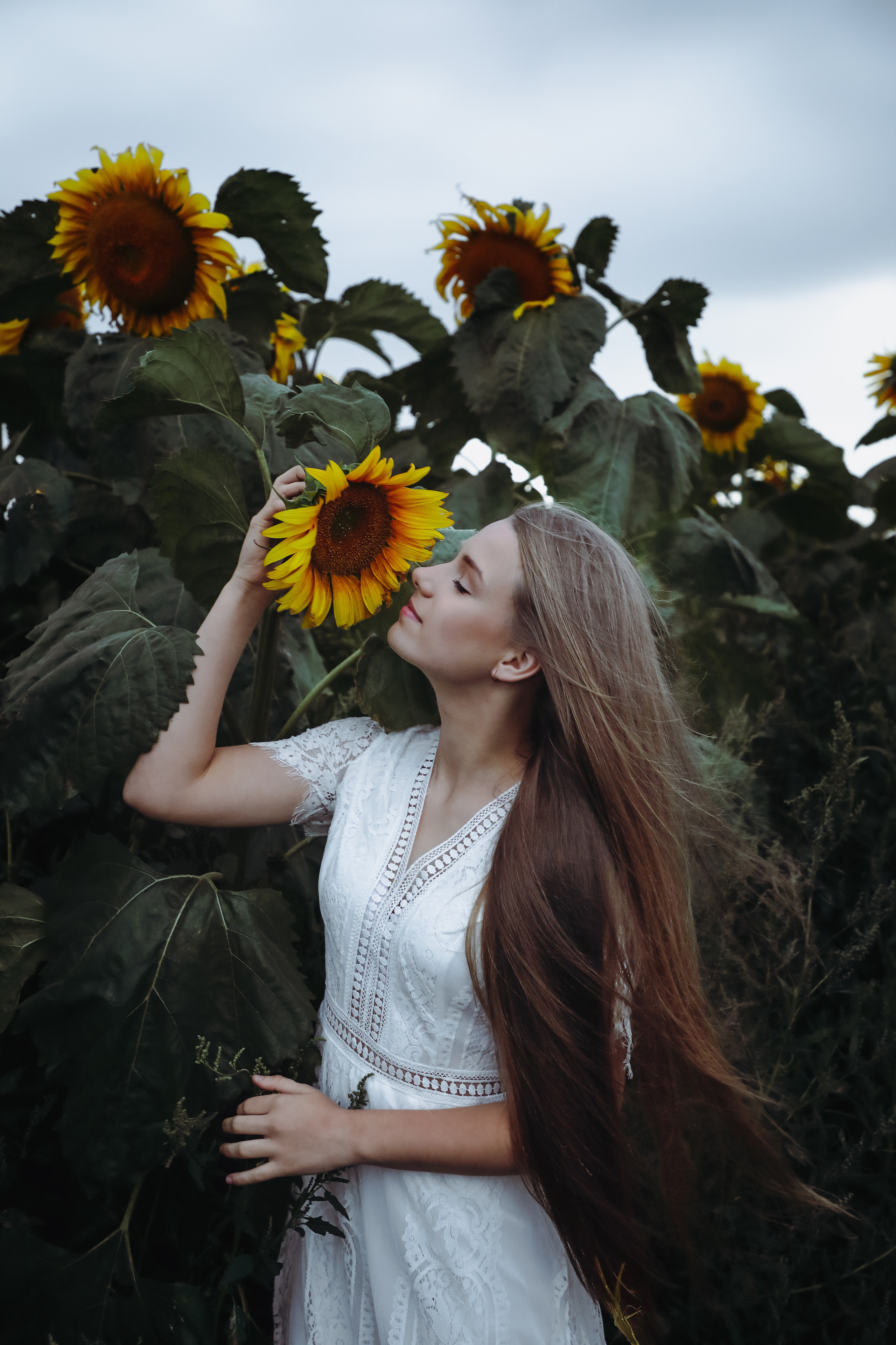 Ance&Sunflowers. PORTRAIT|FAMILY|CHILDREN|BRAND PHOTOGRAPHER UK, CAMBRIDGESHIRE