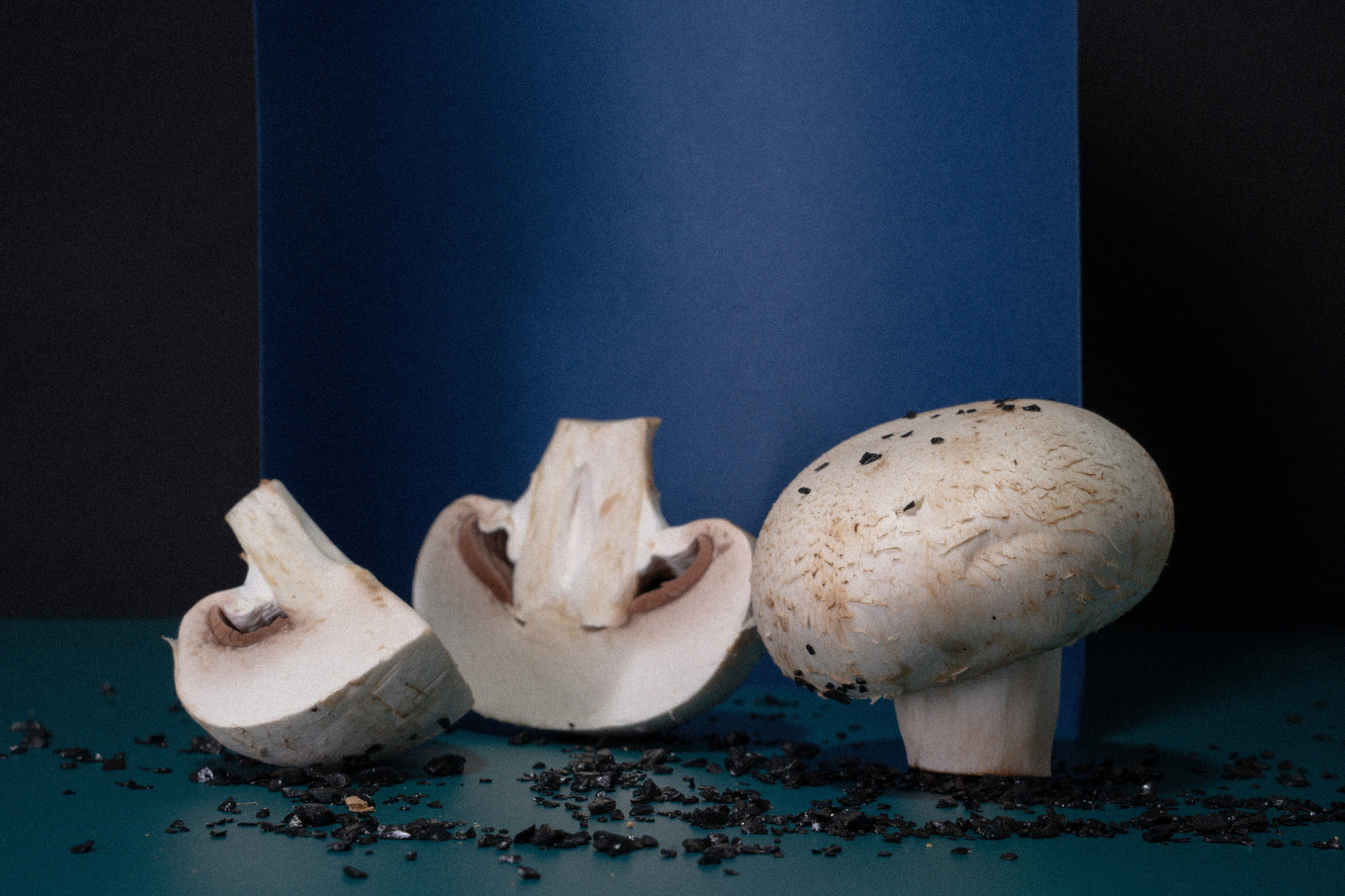 Factory (2023). Ant | photo