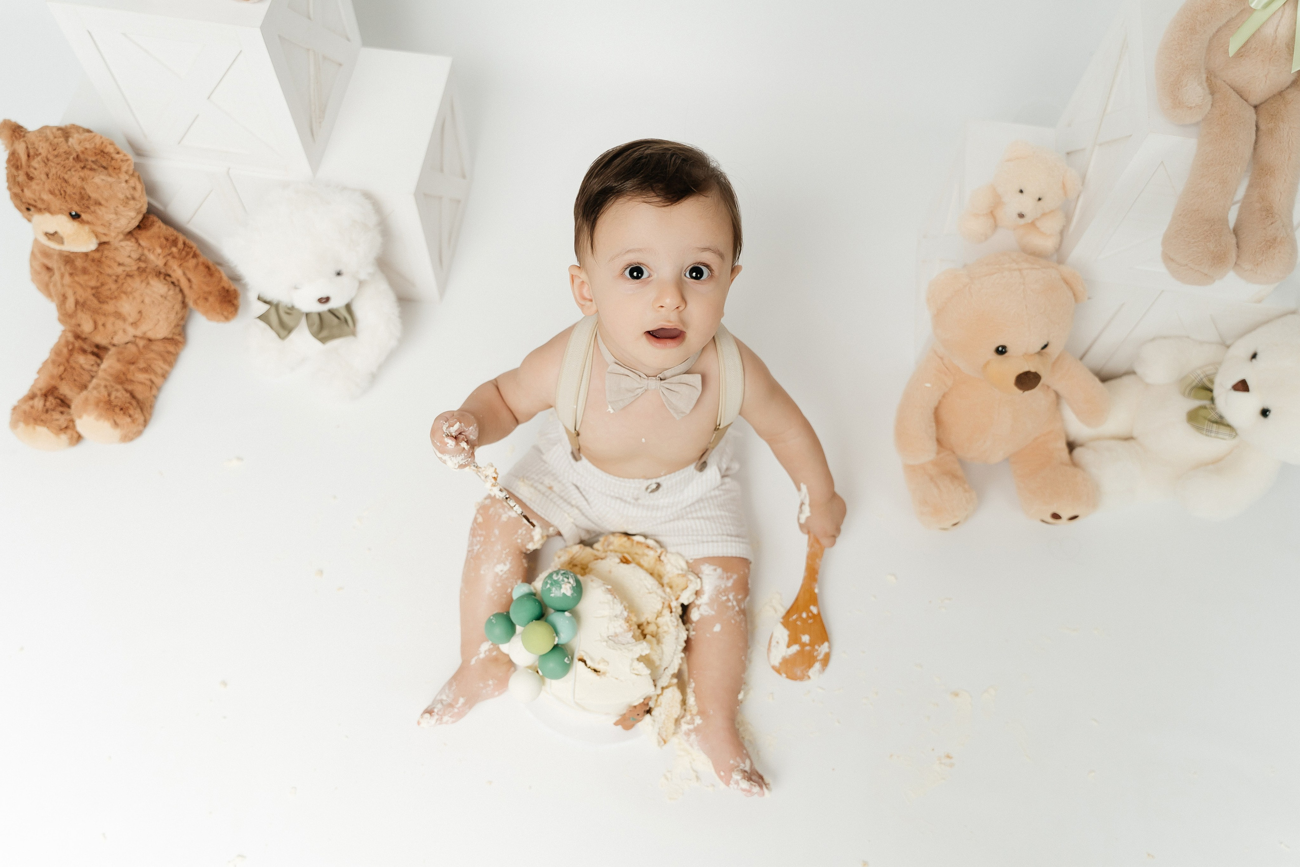 Teddy Bear One Year Cake Smash Photos. Newborn and family photographer. Hills District. Sydney