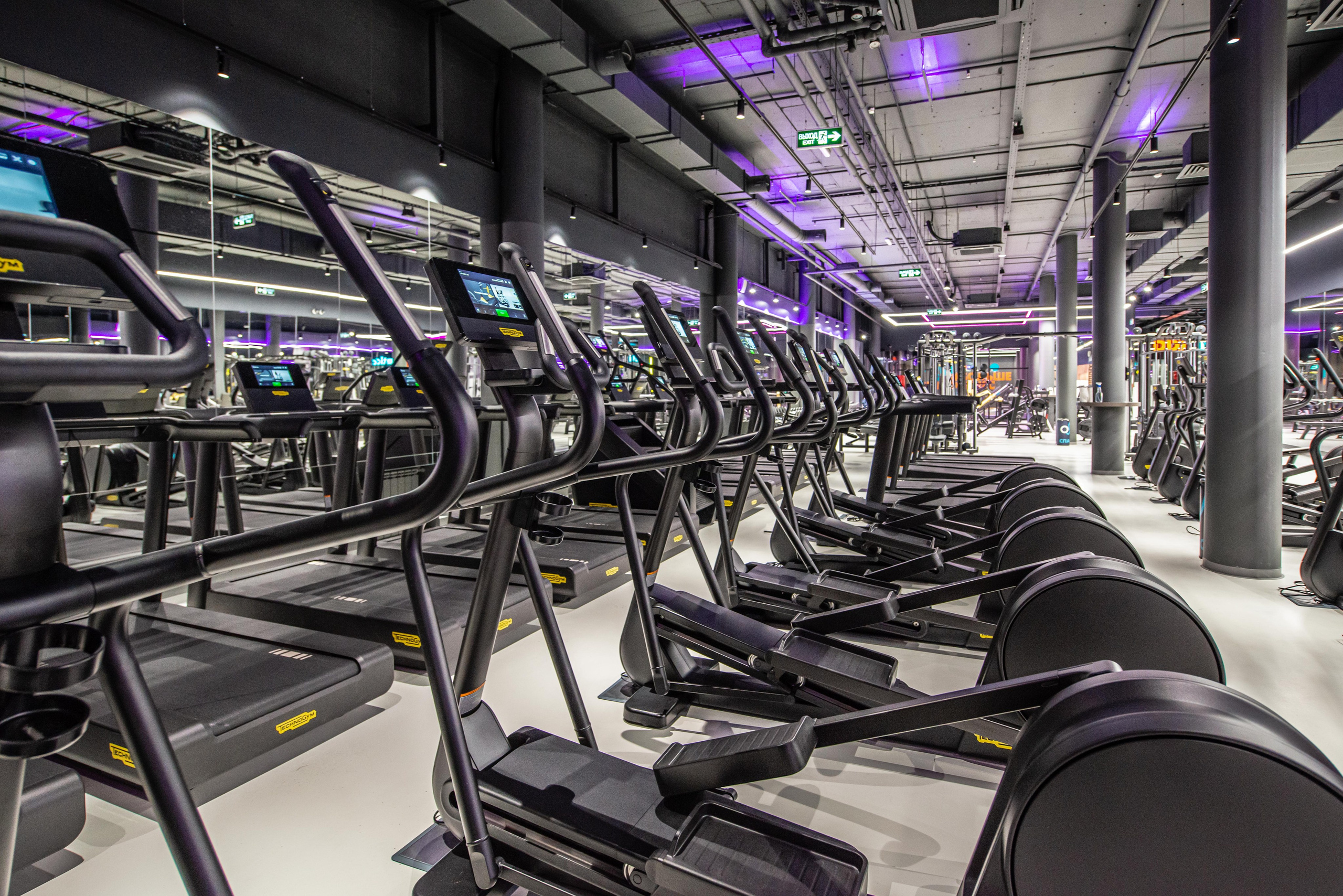 DDX Fitness в Химках. ФОТОГРАФ МЕКСИКА КИНТАНА-РОО