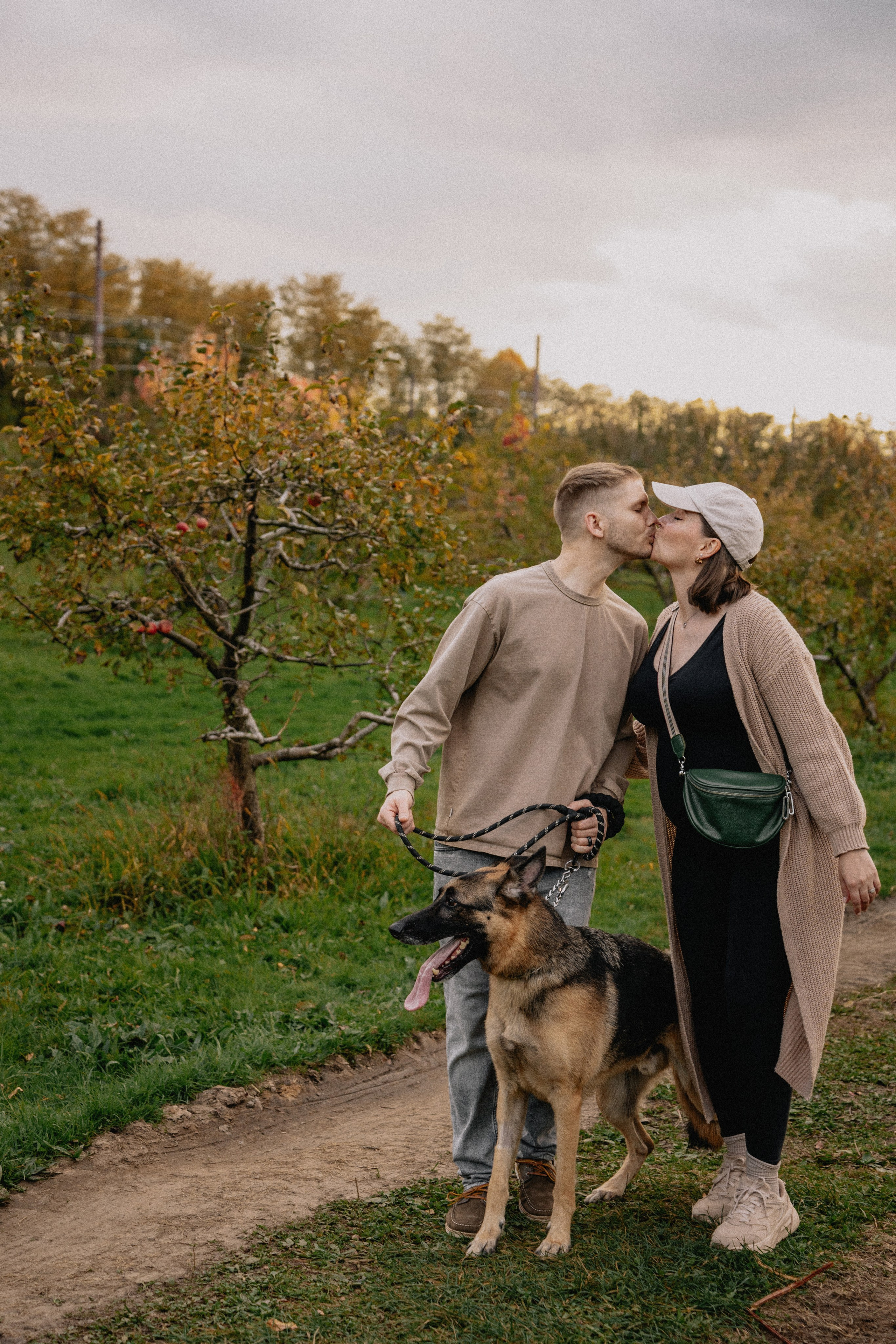 Fall Maternity Photography – Golden Autumn & Apple Orchard Magic. Alisa Tant — Family and newborn photographer Bucks County, Montgomery county, Philadelphia, NJ