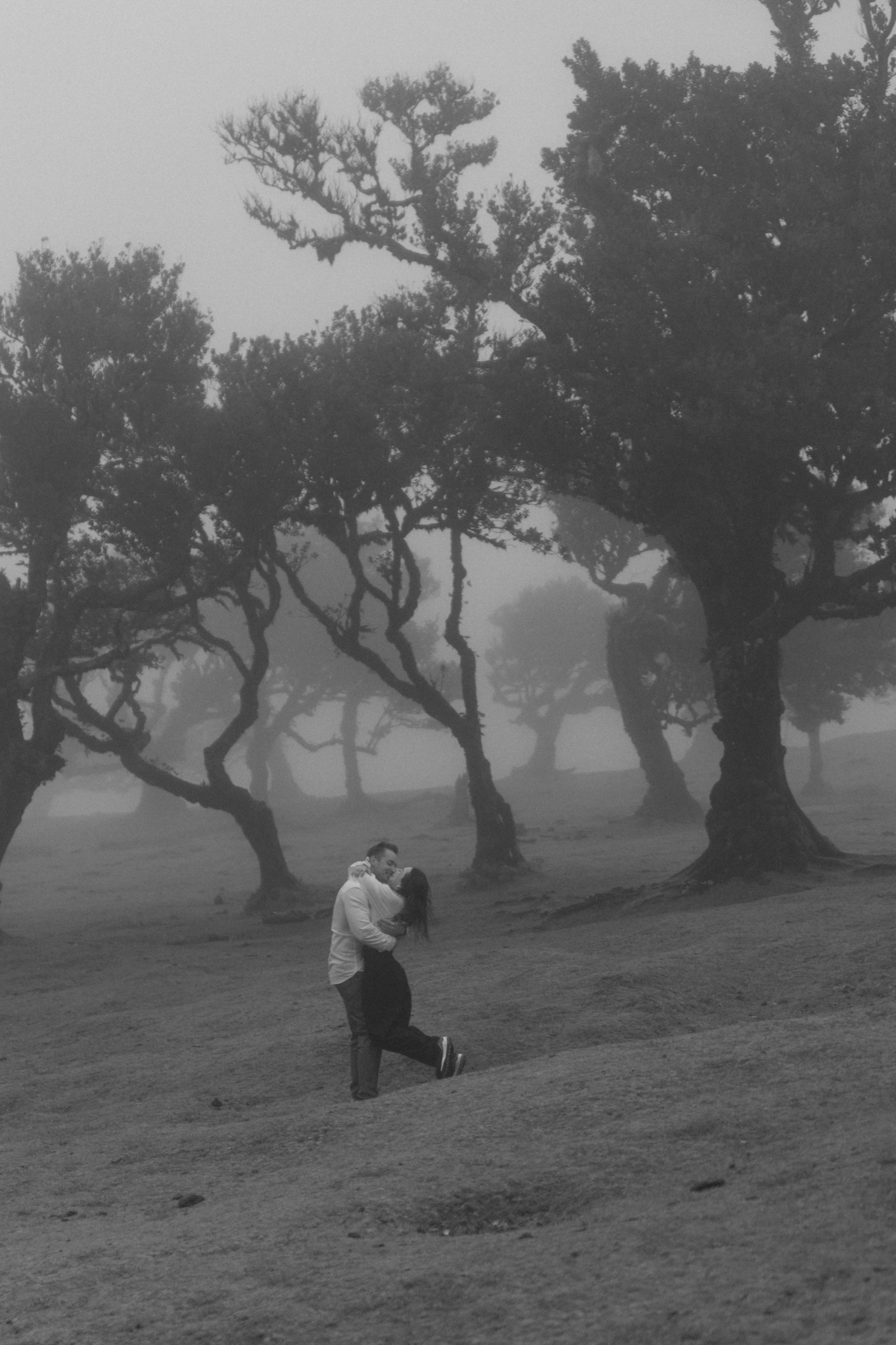 Magic of Fanal Forest. Wedding photographer and videographer based in Timisoara, Romania
