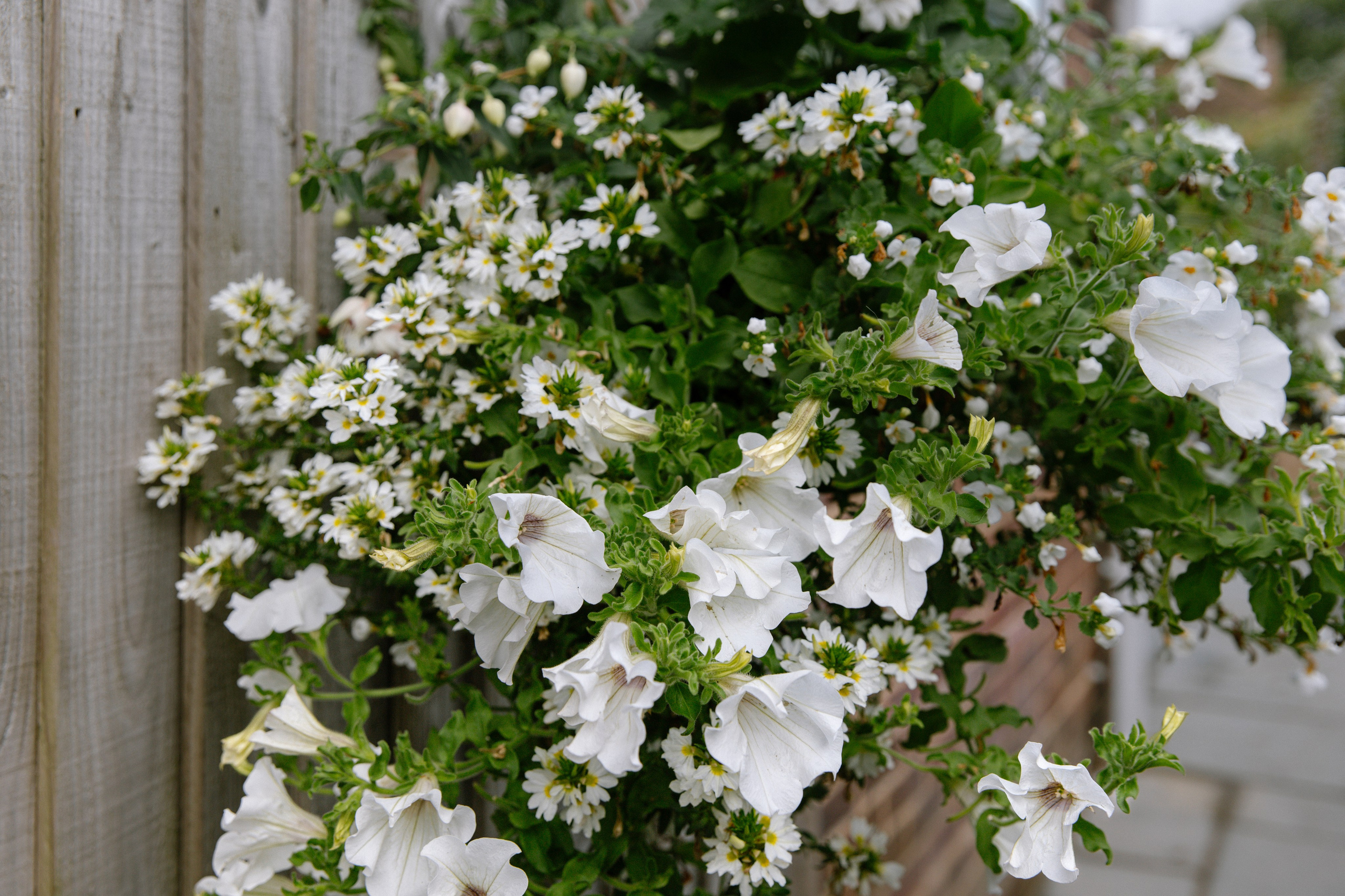 Intimate and emotional wedding. Timeless Wedding & Event Photography from London to the world