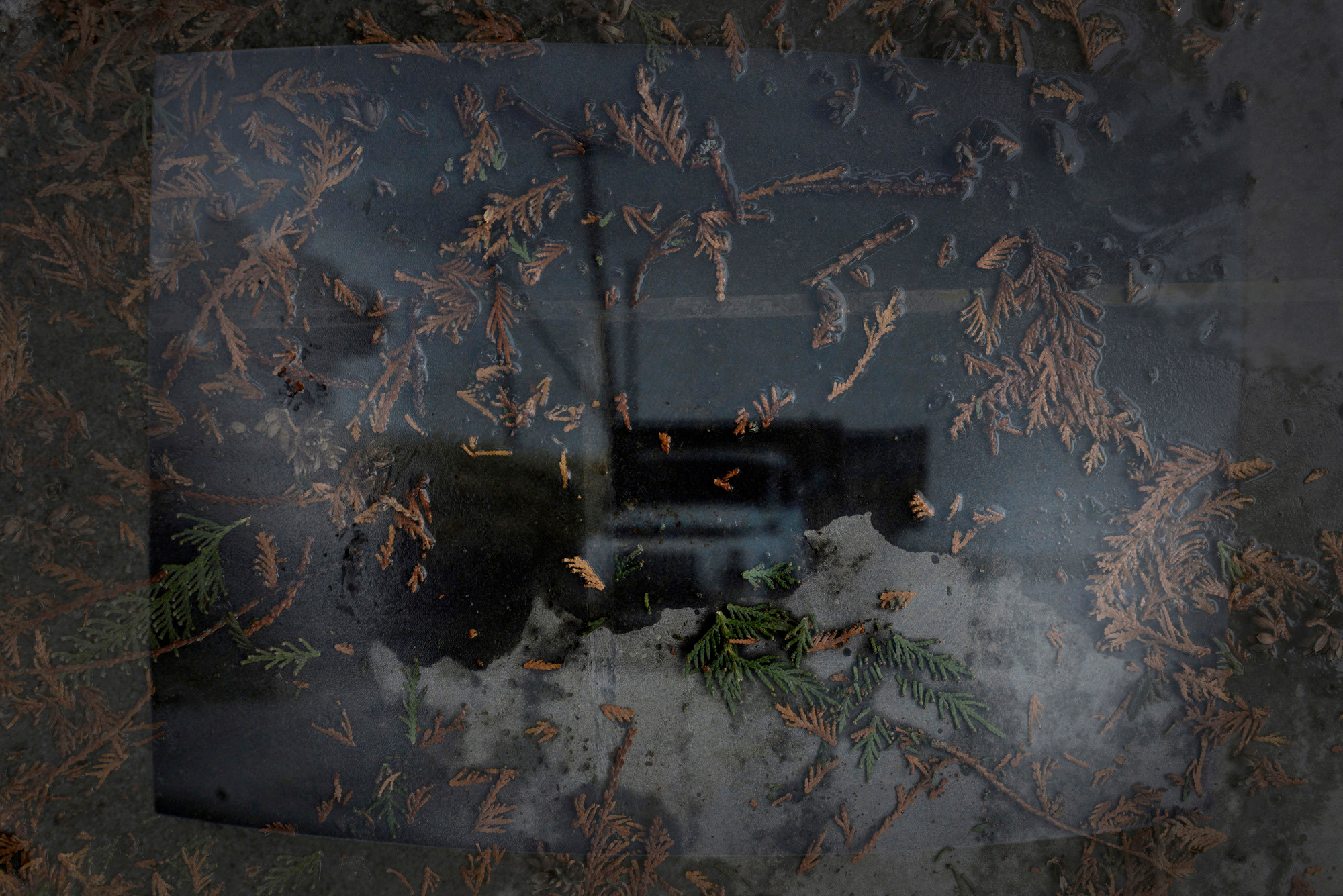 A FRAME OUTSIDE THE FRAME. Documentary photographer in Yerevan Vaghinak Ghazaryan