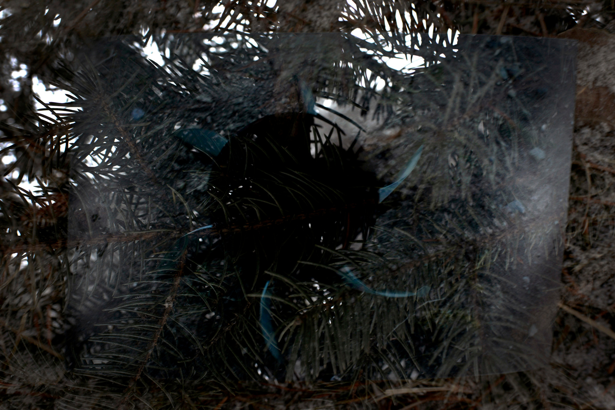 A FRAME OUTSIDE THE FRAME. Documentary photographer in Yerevan Vaghinak Ghazaryan