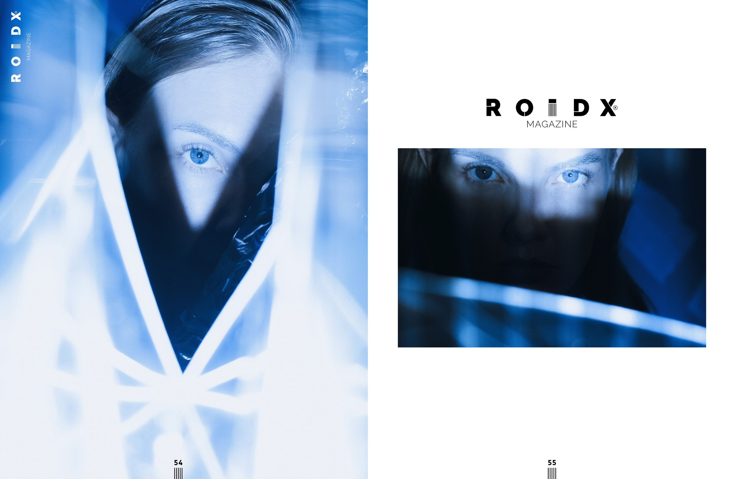 The best publications of the project R136a1