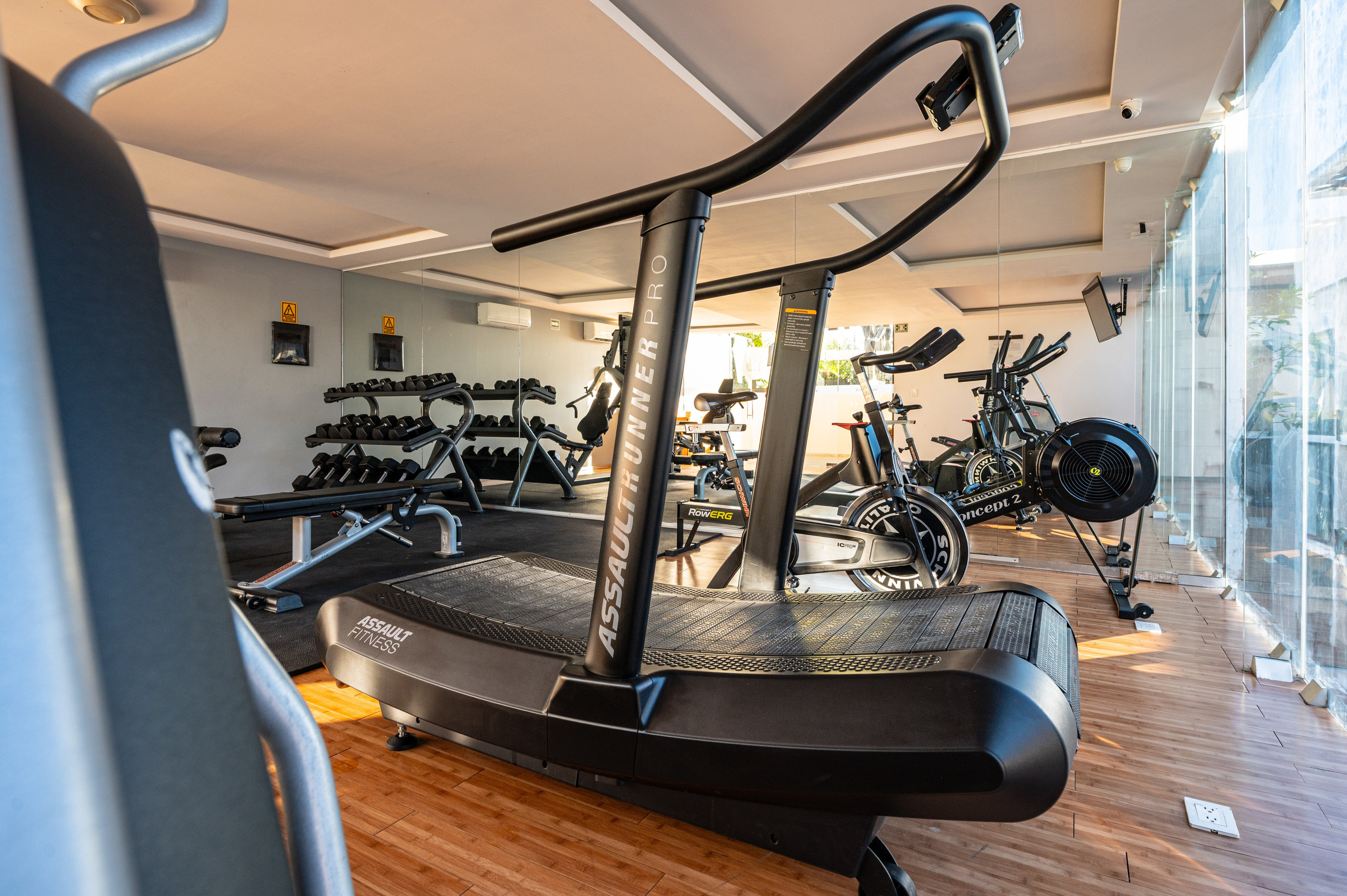 The Shore. ФОТОГРАФ МЕКСИКА КИНТАНА-РОО