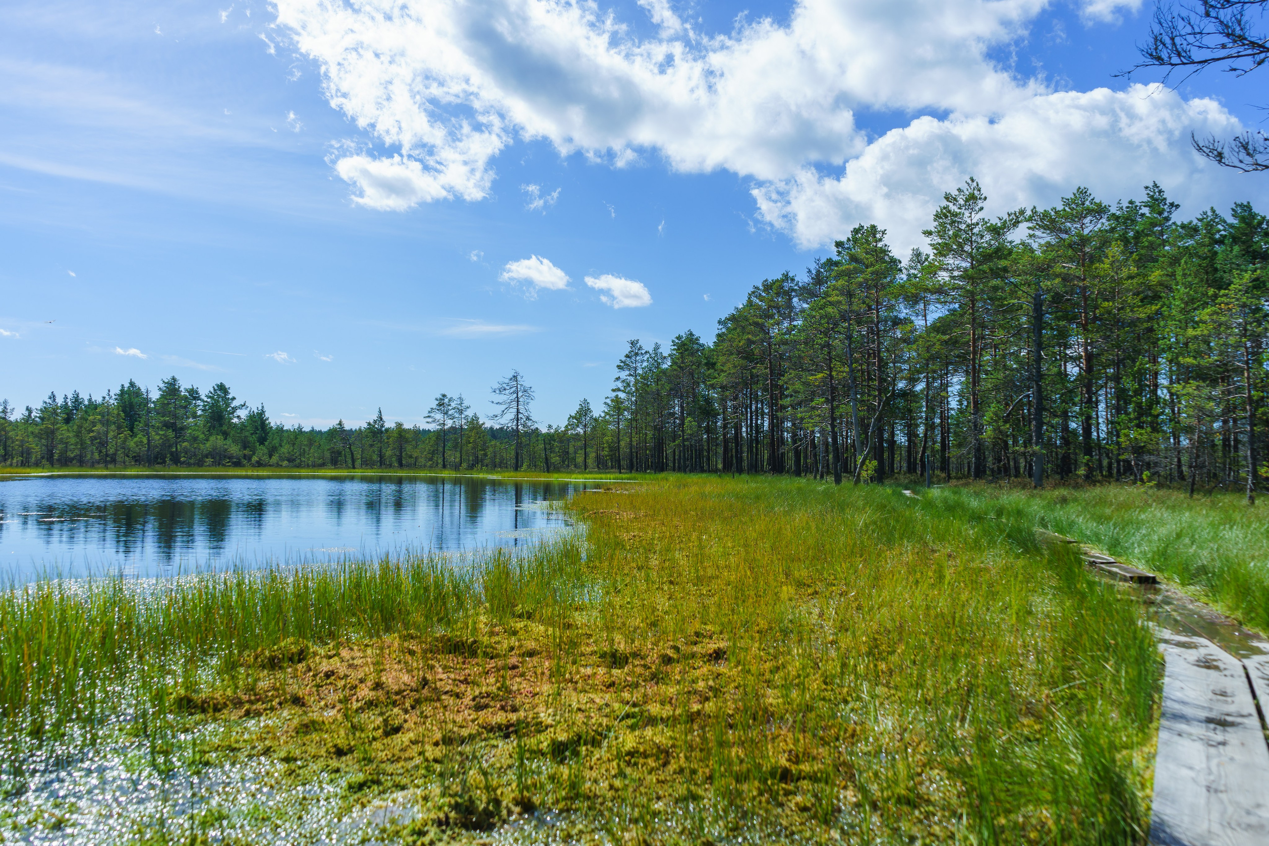 Дрон-съёмка и монтаж видео для бизнеса и соцсетей. Работаем в Таллине и по всей Эстонии. Также предлагаем обучение и консультации