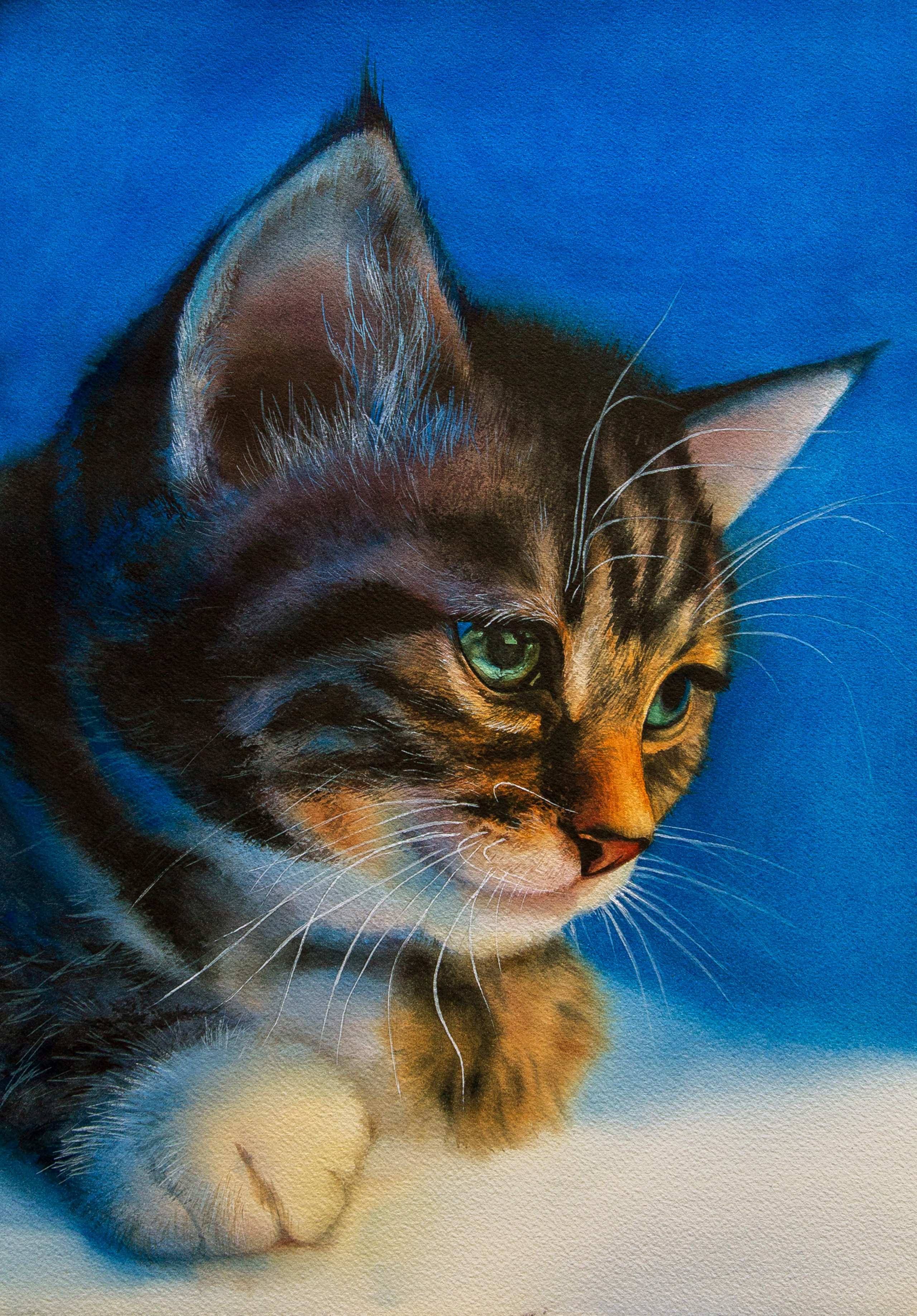 Dieren. Aljona art - KUNST in Overijsel, Zwolle