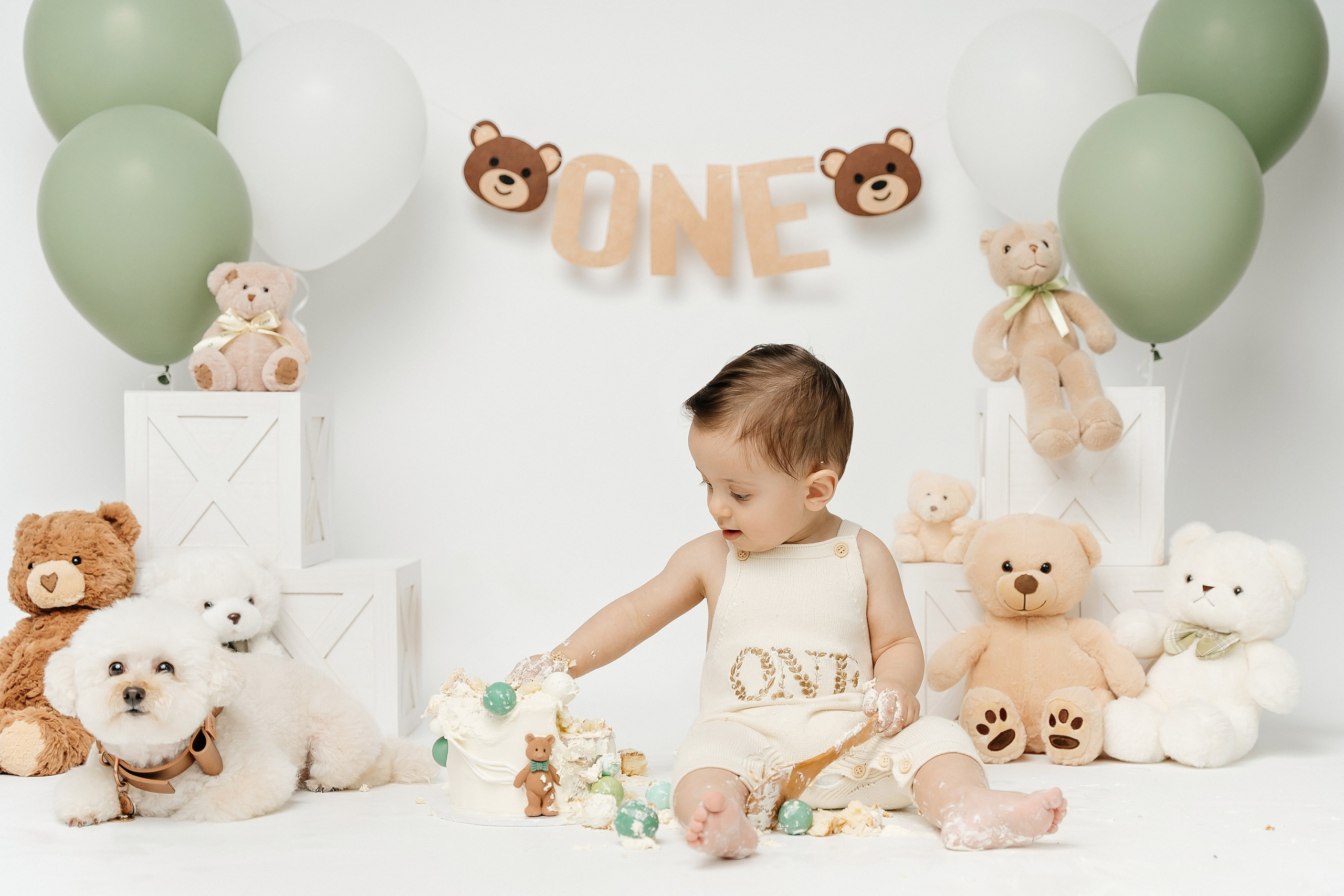Teddy Bear One Year Cake Smash Photos. Newborn and family photographer. Hills District. Sydney