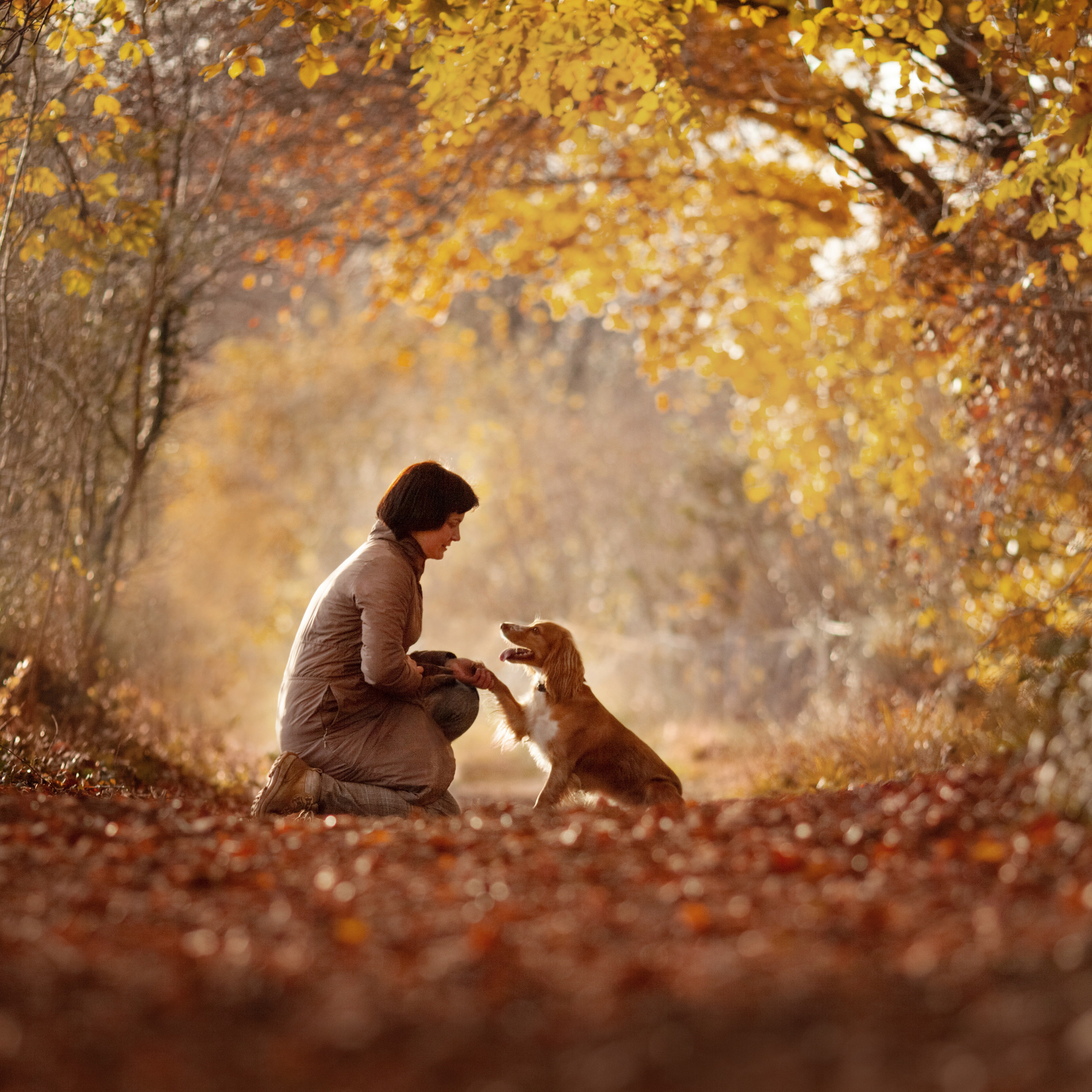 Olga Tikhonova: family photography Cambridgeshire