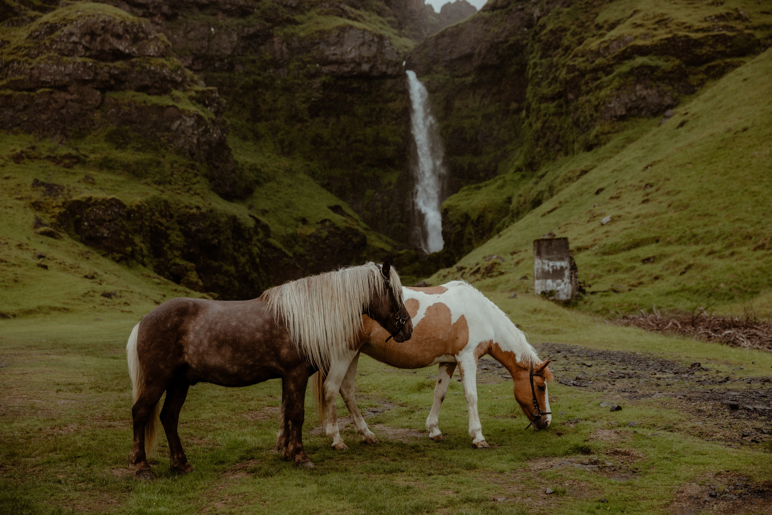 Elopement at Kvernufoss Waterfall. Iceland elopement photographer & videographer